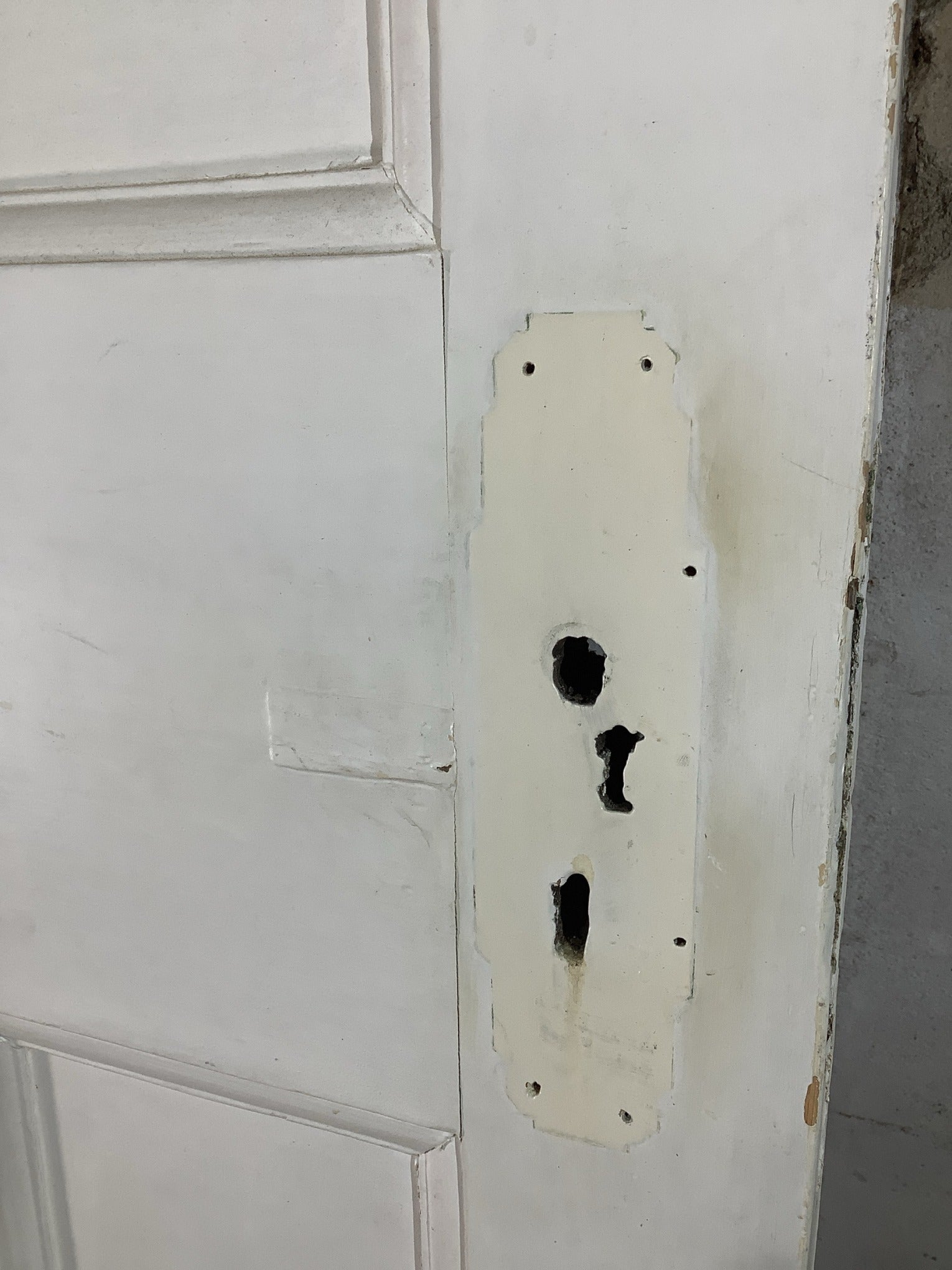 5th Pic 1930s Internal Painted  Pine Reclaimed Door