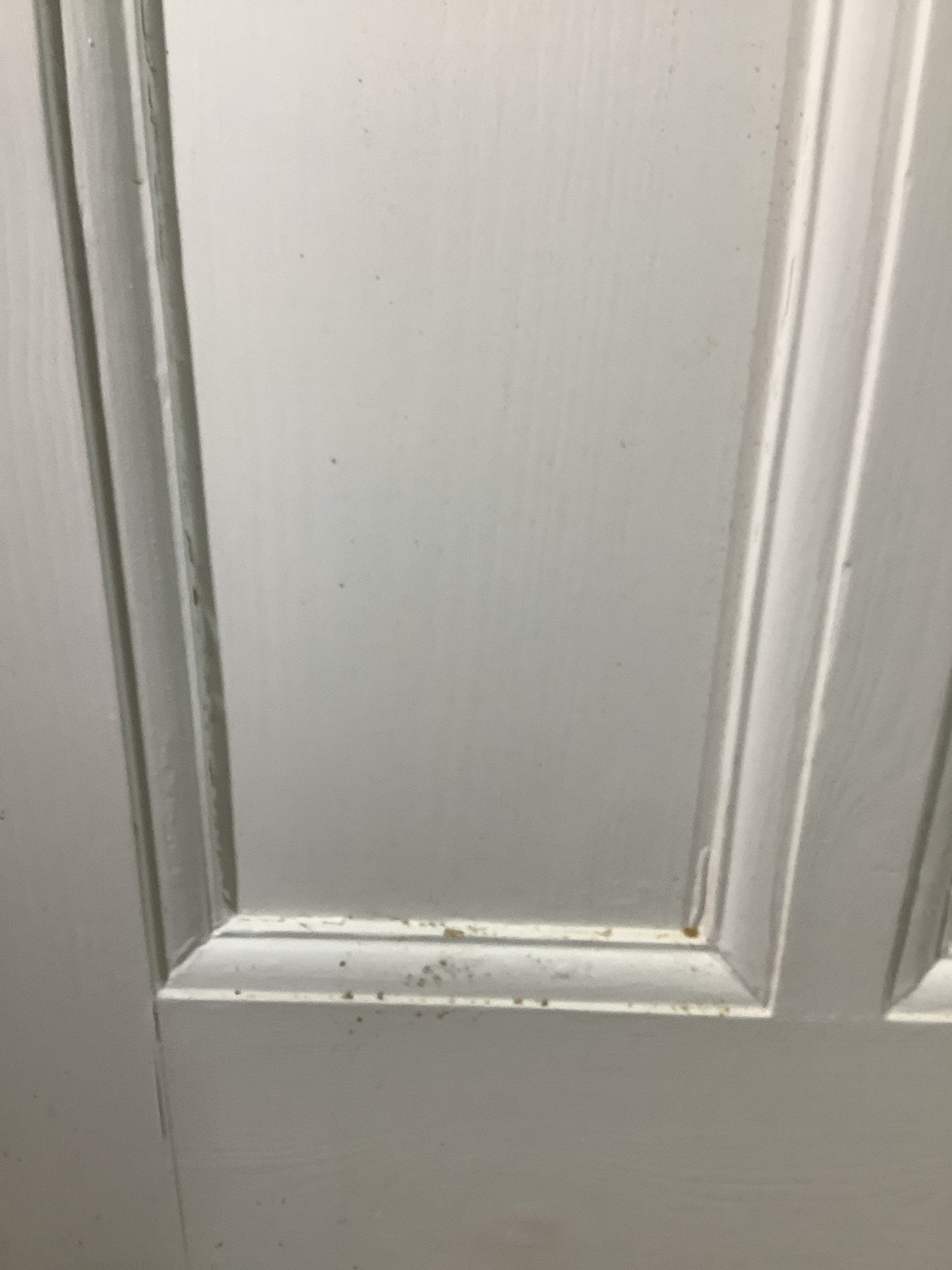 6th Pic 1930s Internal Painted  Pine Reclaimed Door
