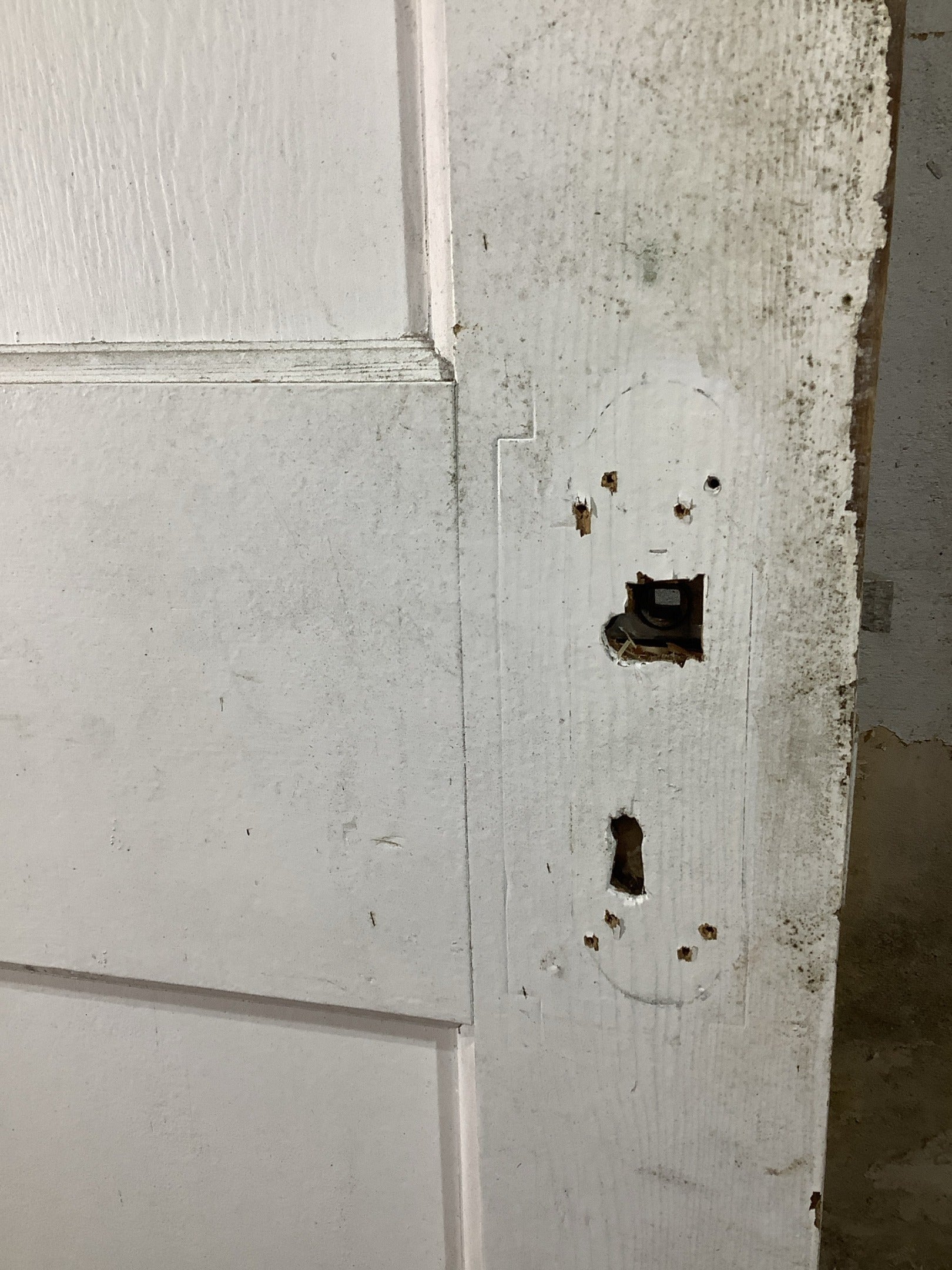 5th Pic 1930s Internal Painted  Pitch Pine Reclaimed Door