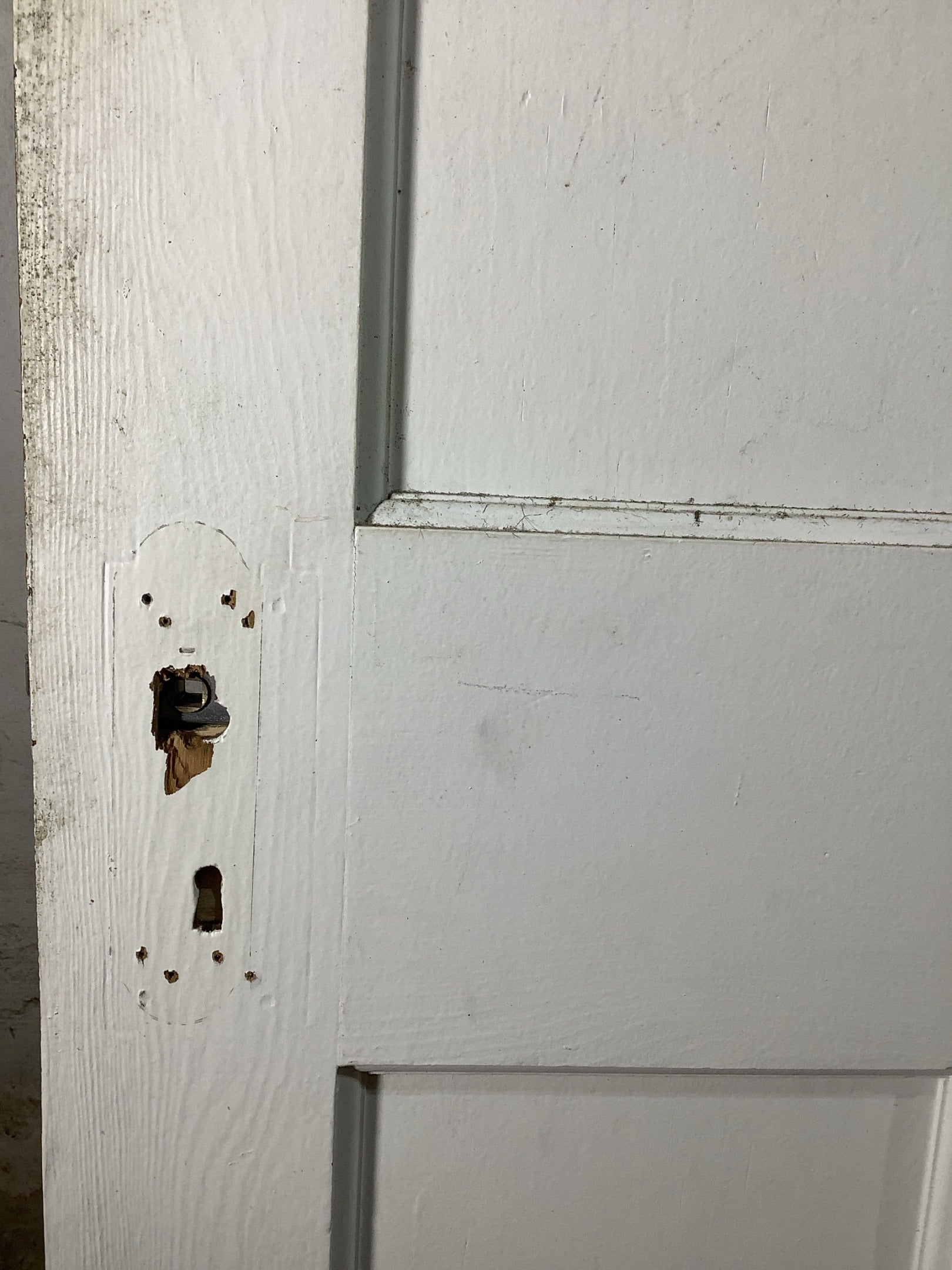 11th Pic 1930s Internal Painted  Pitch Pine Reclaimed Door