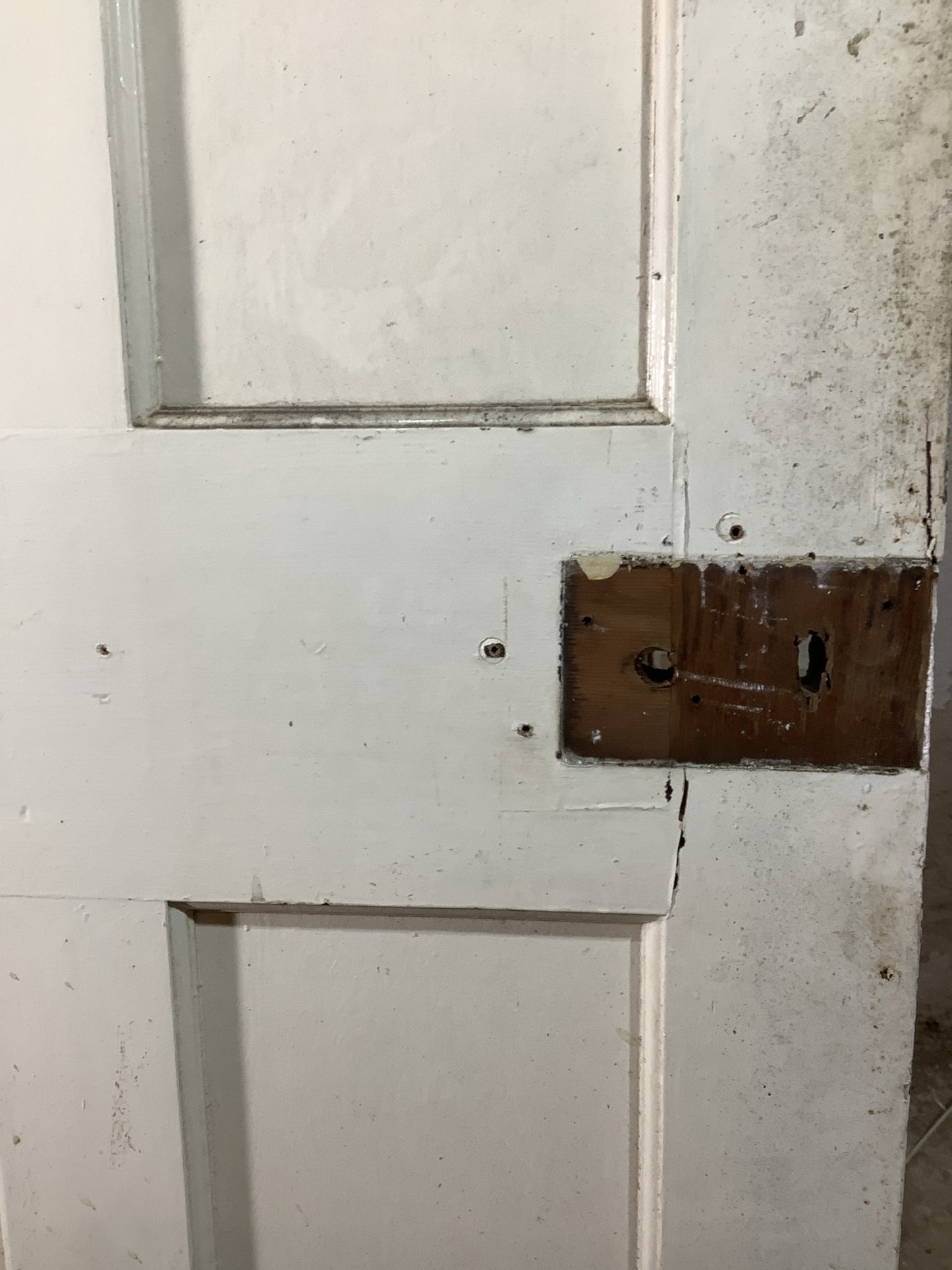 12th Pic 1930s Internal Painted  Pitch Pine Reclaimed Door