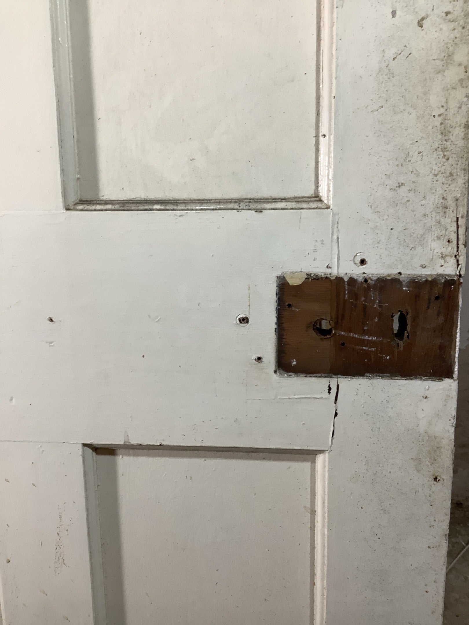 12th Pic 1930s Internal Painted  Pitch Pine Reclaimed Door