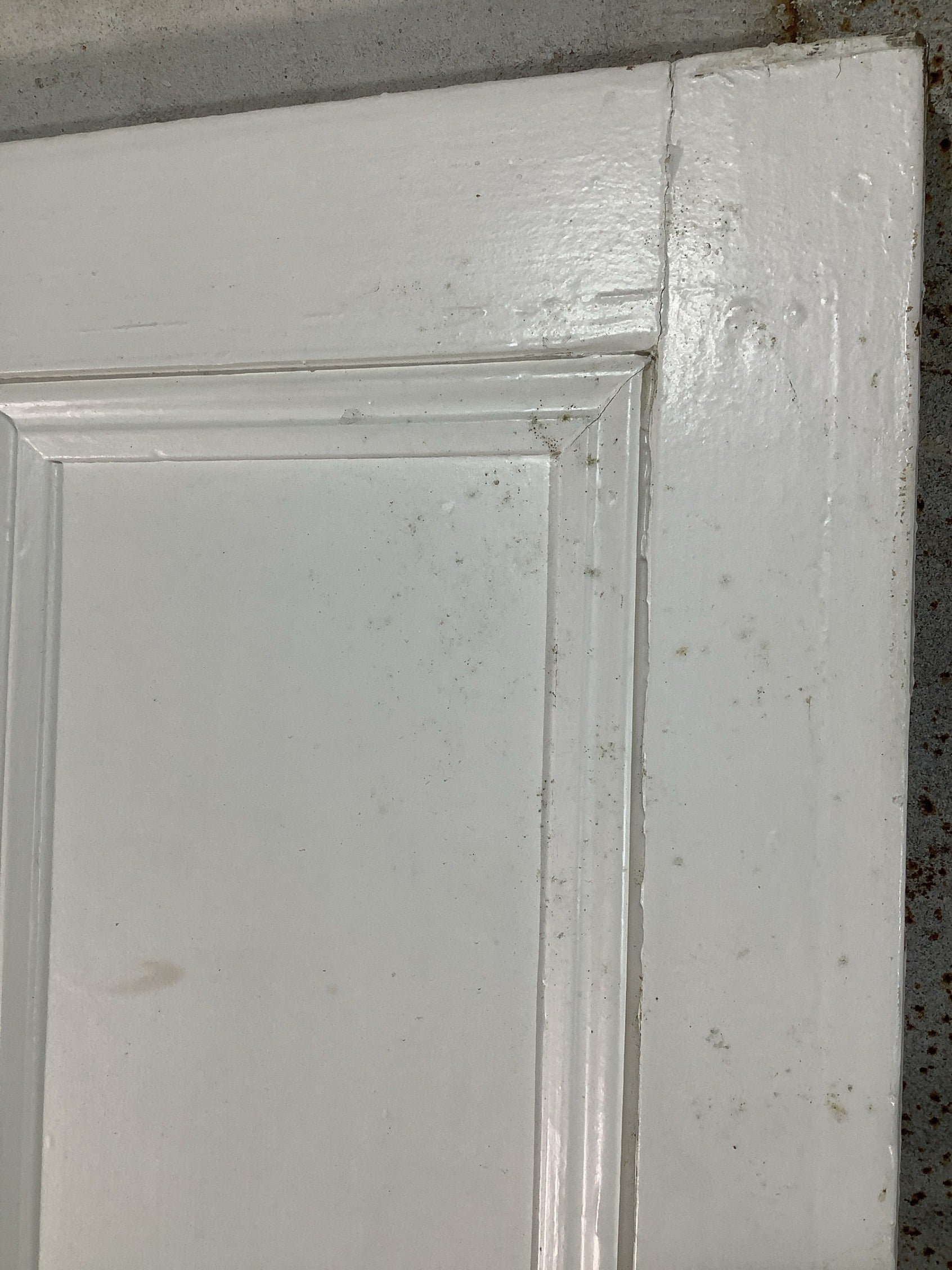 5th Pic Victorian Internal Painted  Pine Reclaimed Door
