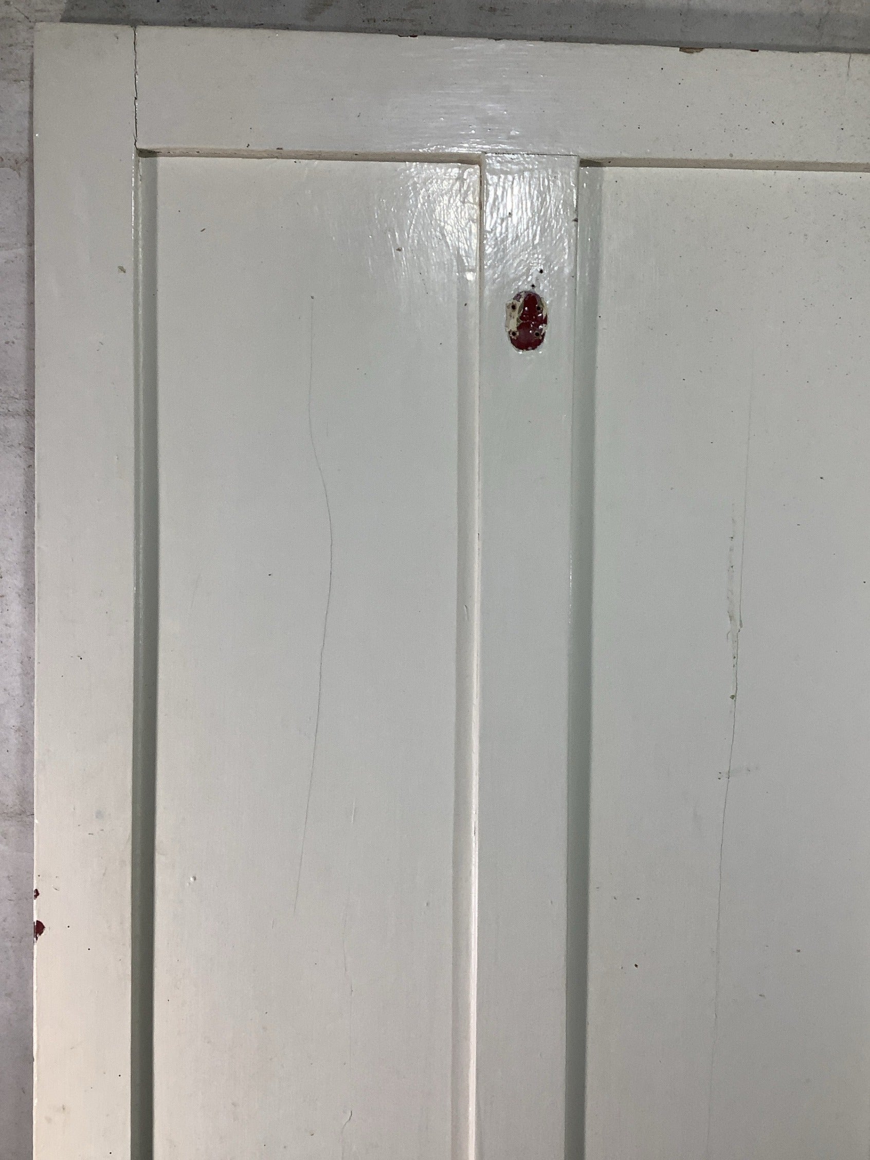 8th Pic Victorian Internal Painted  Pine Reclaimed Door