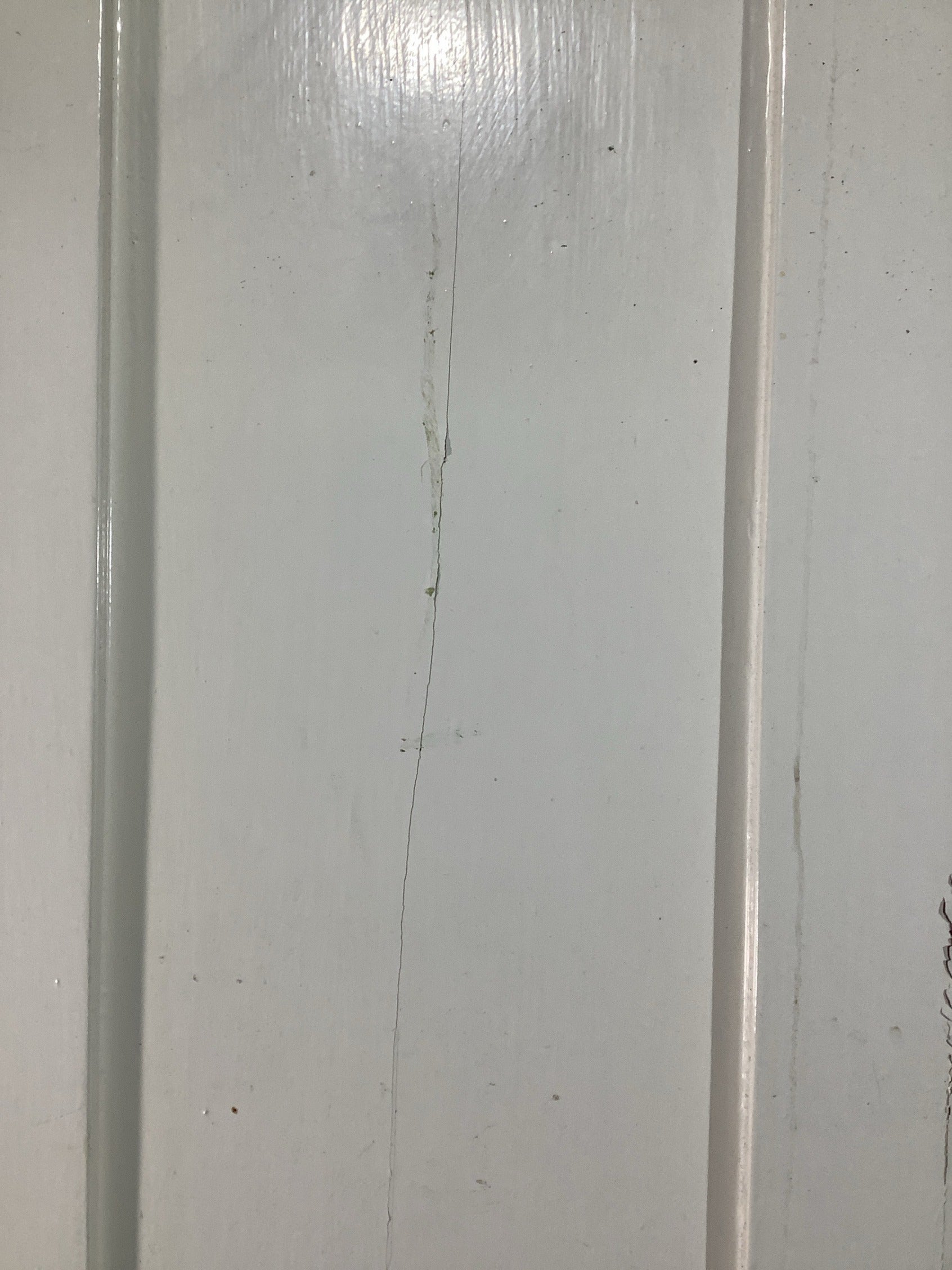 10th Pic Victorian Internal Painted  Pine Reclaimed Door