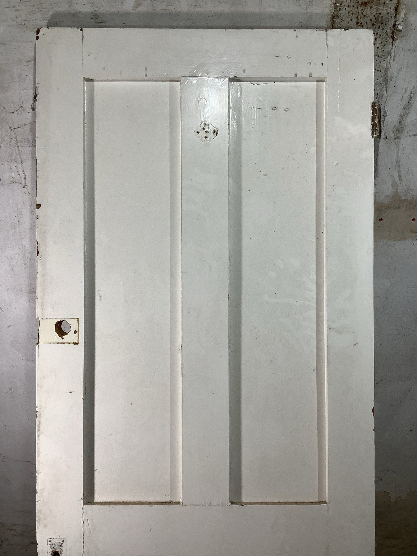 2nd Pic Victorian Internal Painted  Pine Reclaimed Door