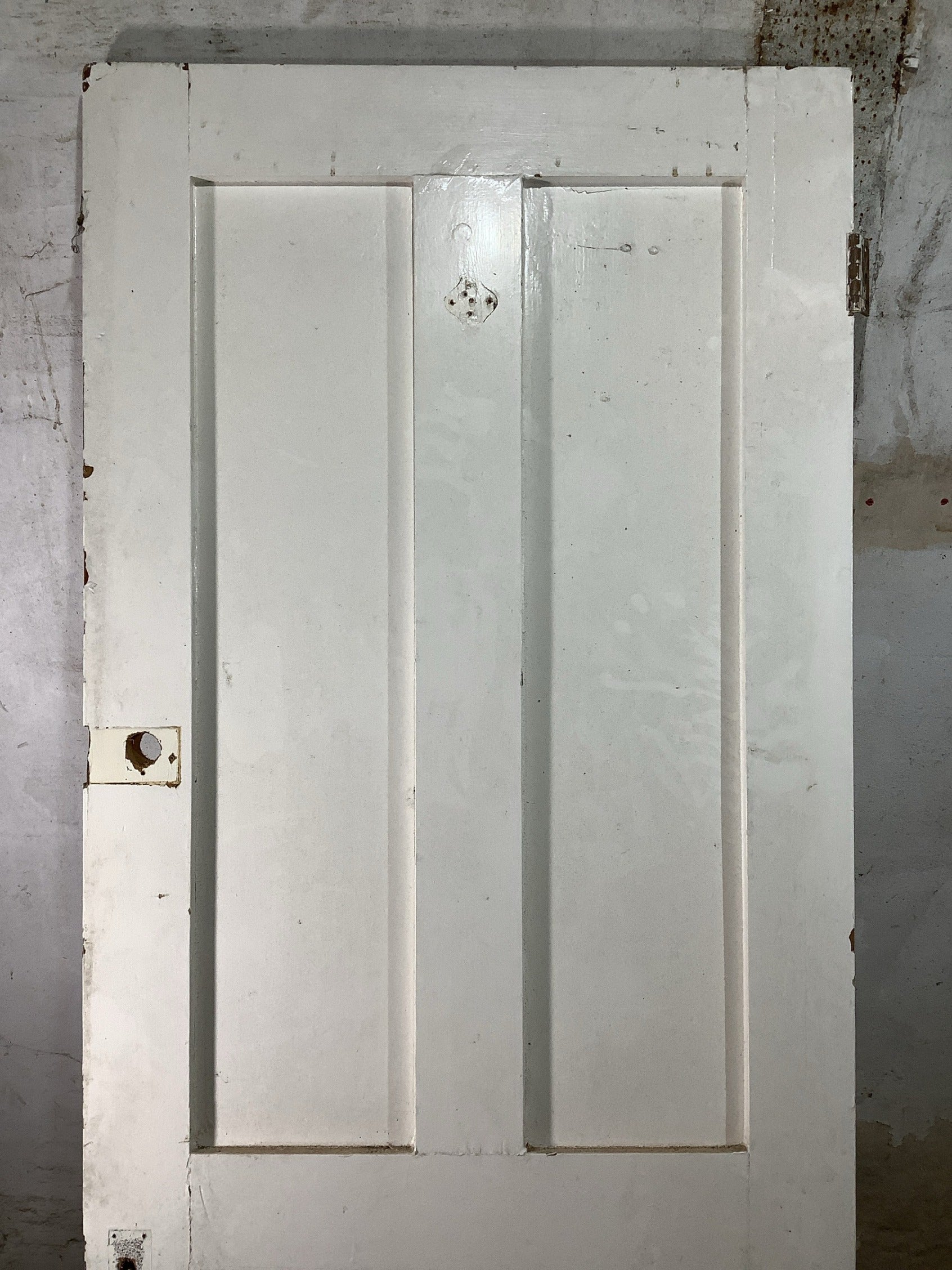 2nd Pic Victorian Internal Painted  Pine Reclaimed Door