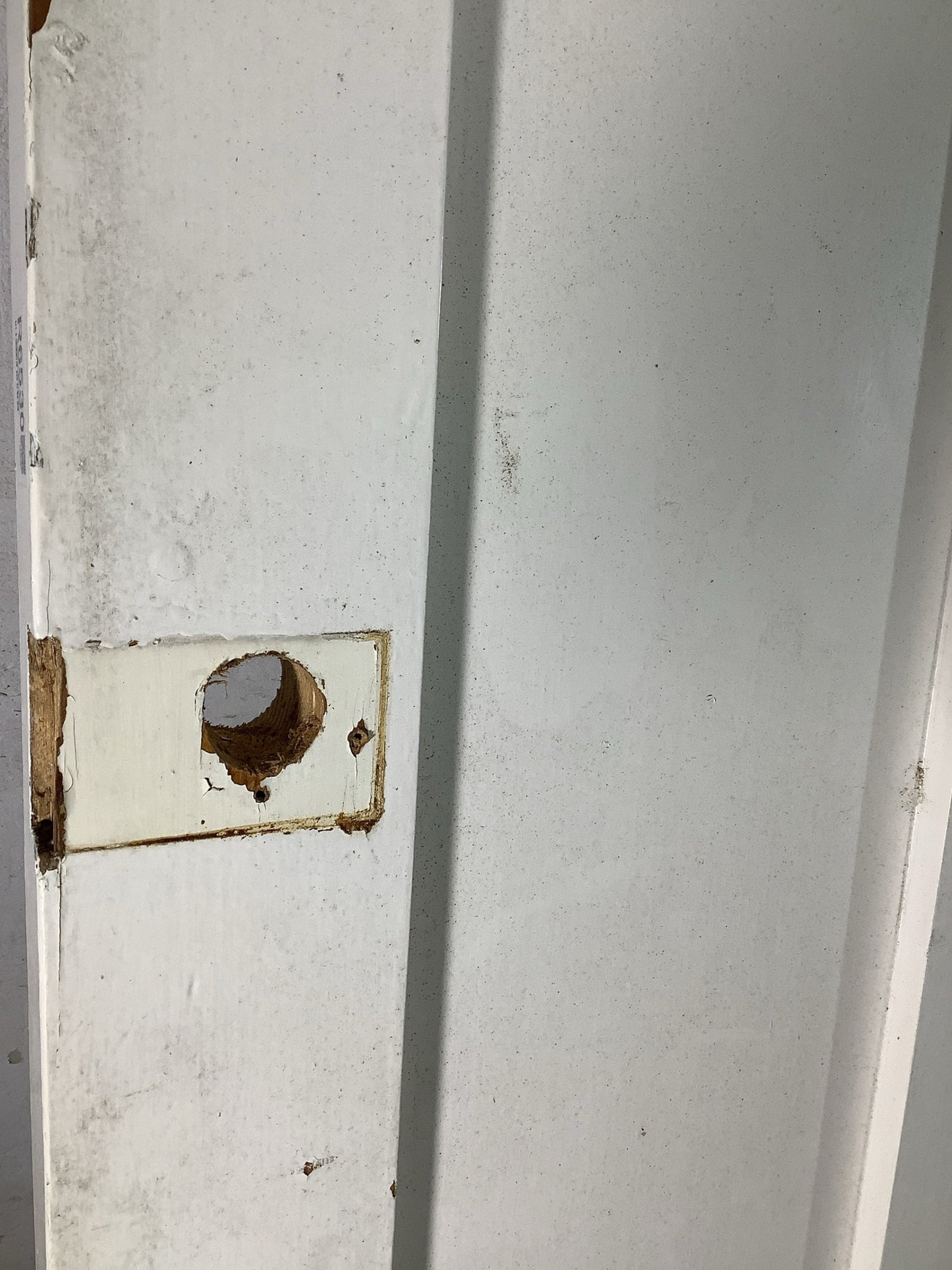 4th Pic Victorian Internal Painted  Pine Reclaimed Door