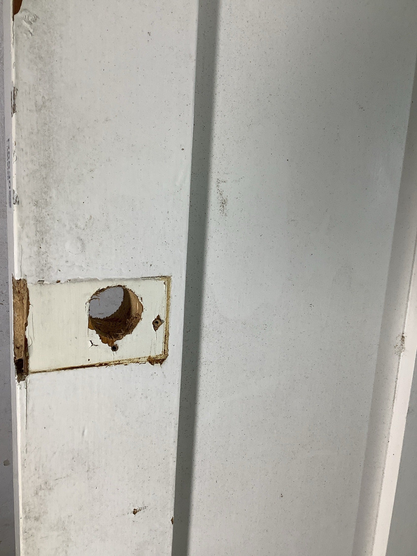 4th Pic Victorian Internal Painted  Pine Reclaimed Door