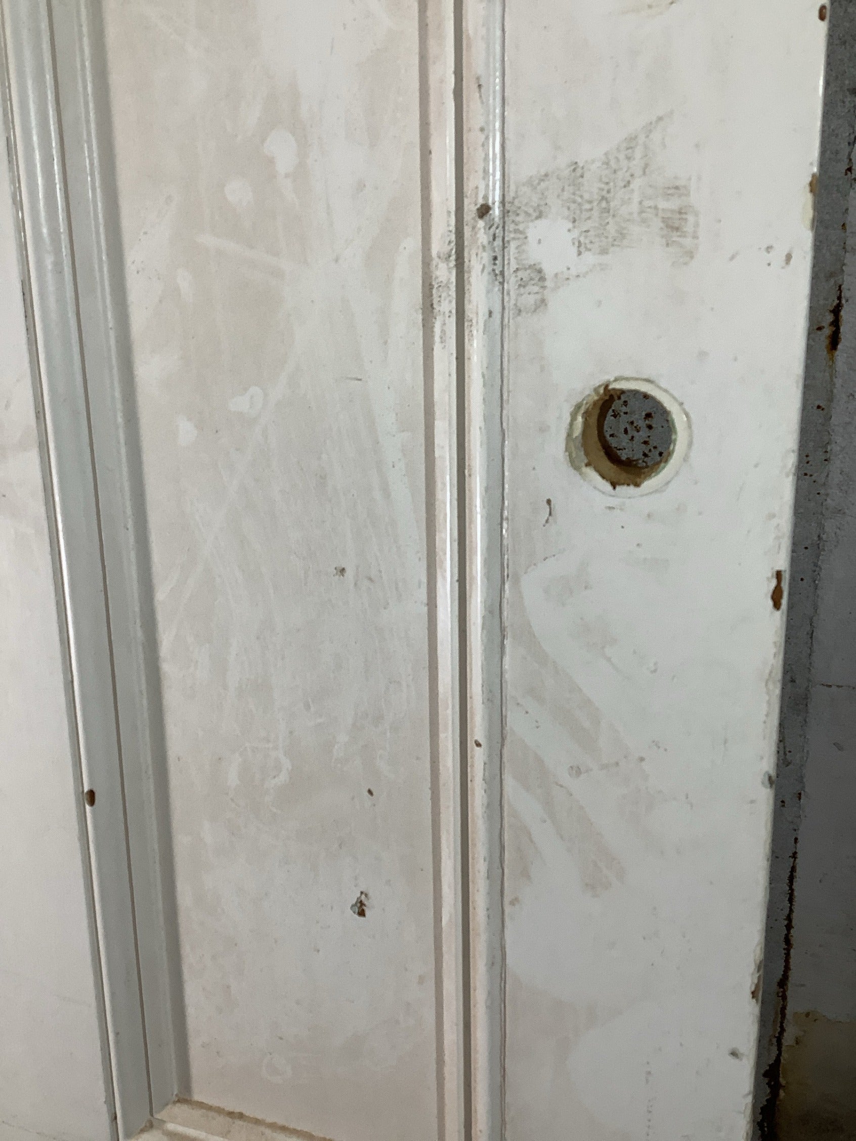 10th Pic Victorian Internal Painted  Pine Reclaimed Door