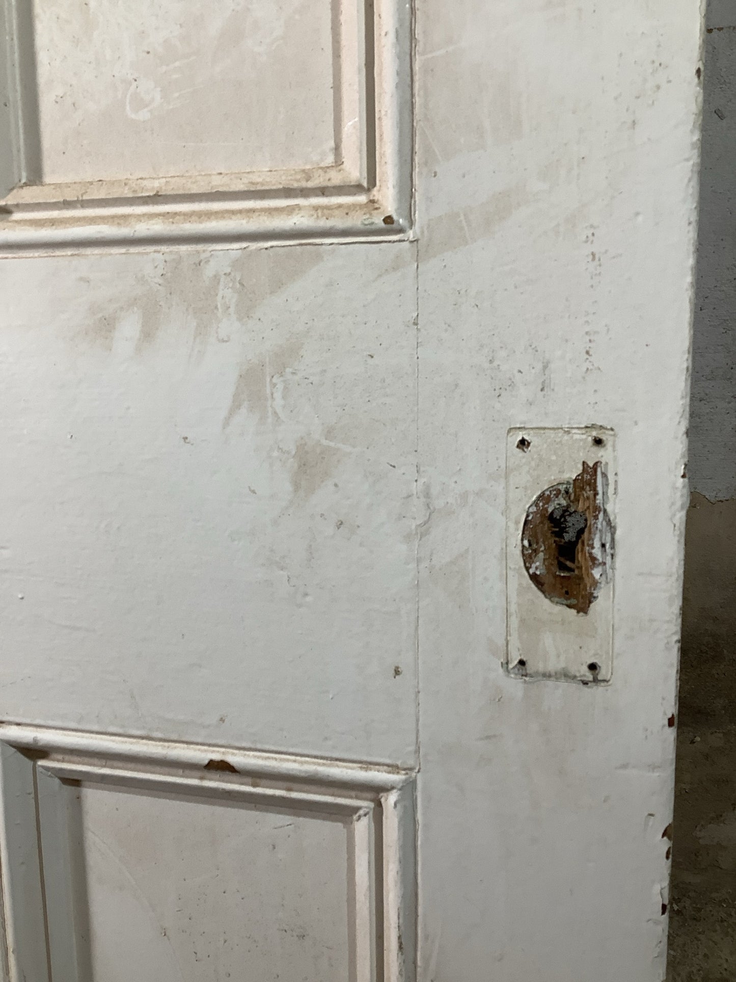 11th Pic Victorian Internal Painted  Pine Reclaimed Door
