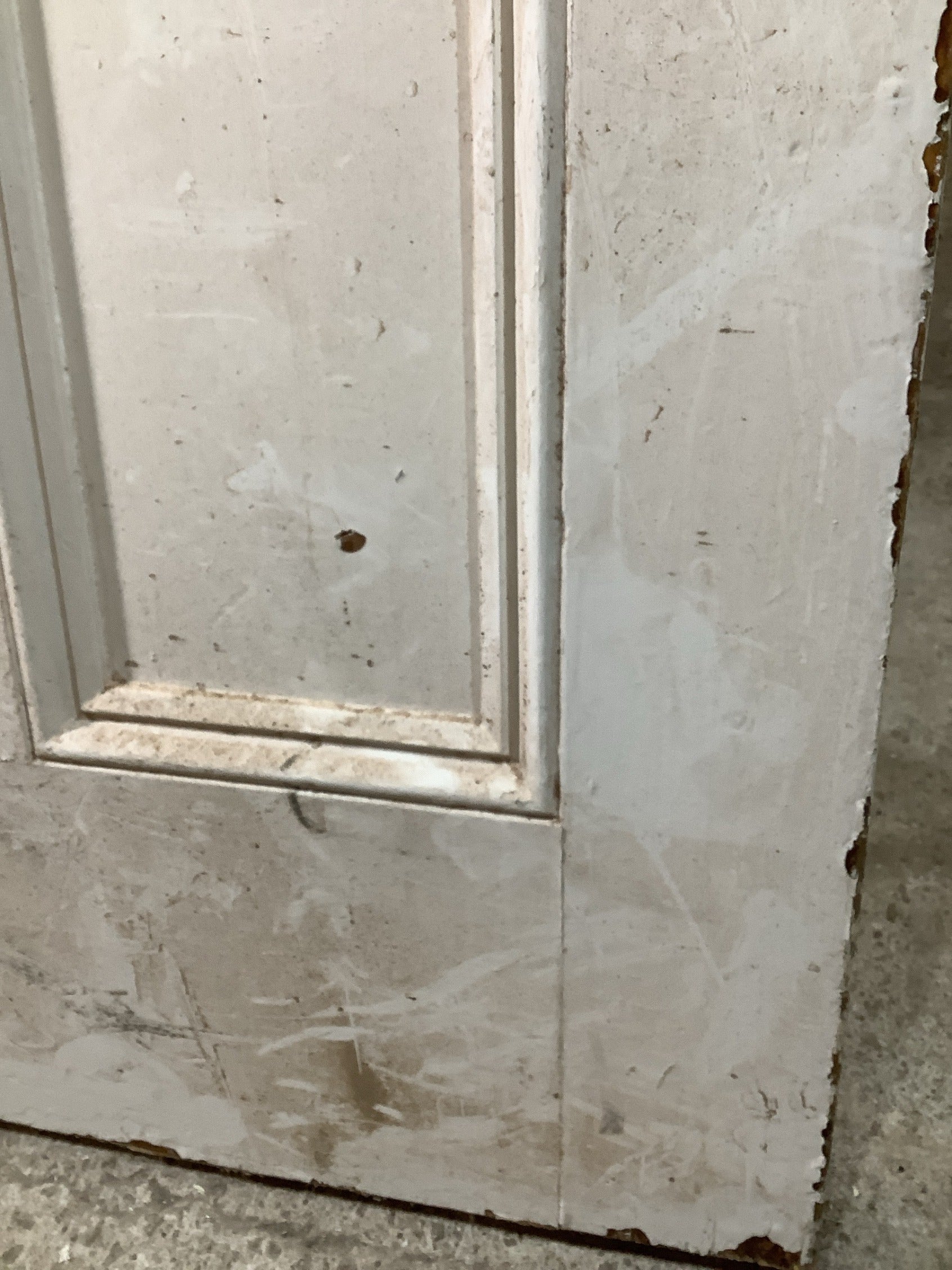 12th Pic Victorian Internal Painted  Pine Reclaimed Door
