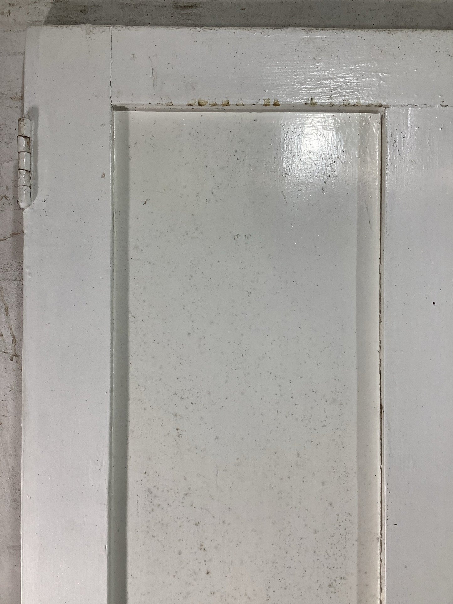 4th Pic Victorian Internal Painted  Pine Reclaimed Door