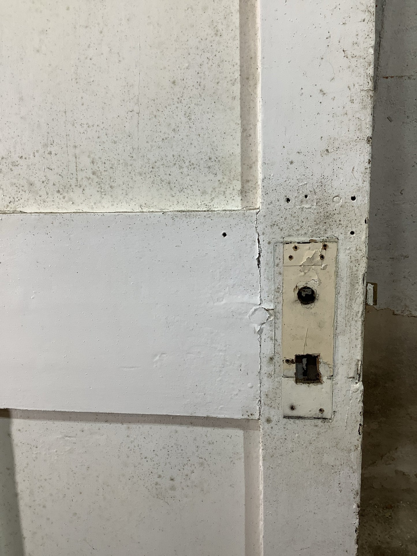 5th Pic Victorian Internal Painted  Pine Reclaimed Door