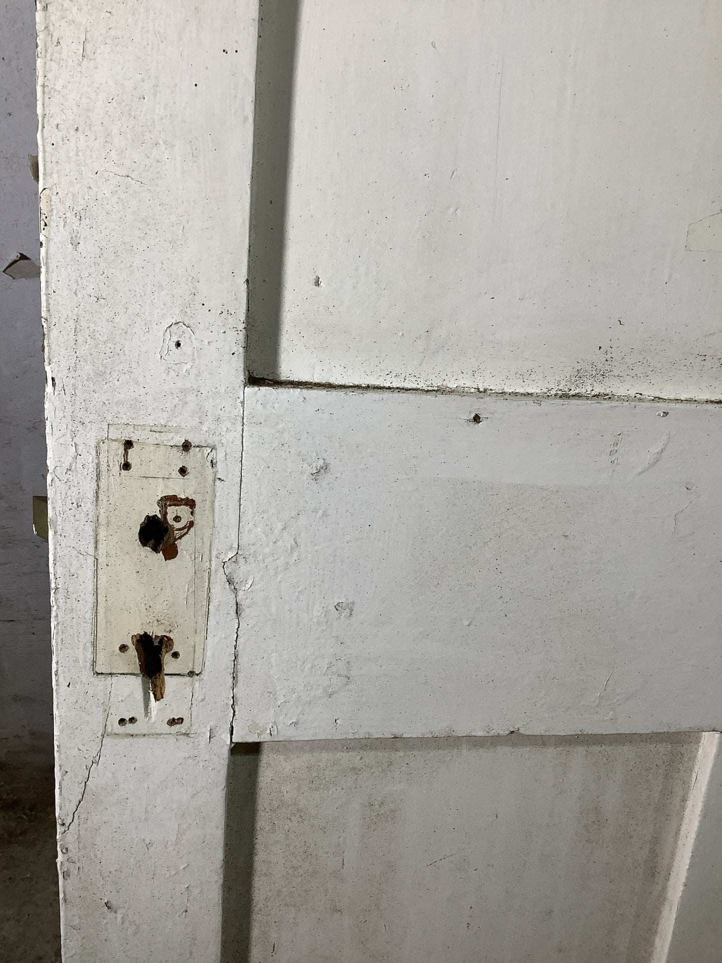 10th Pic Victorian Internal Painted  Pine Reclaimed Door