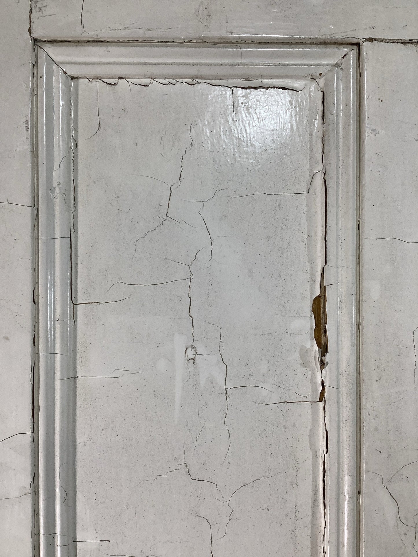 5th Pic Victorian Internal Painted  Pine Reclaimed Door