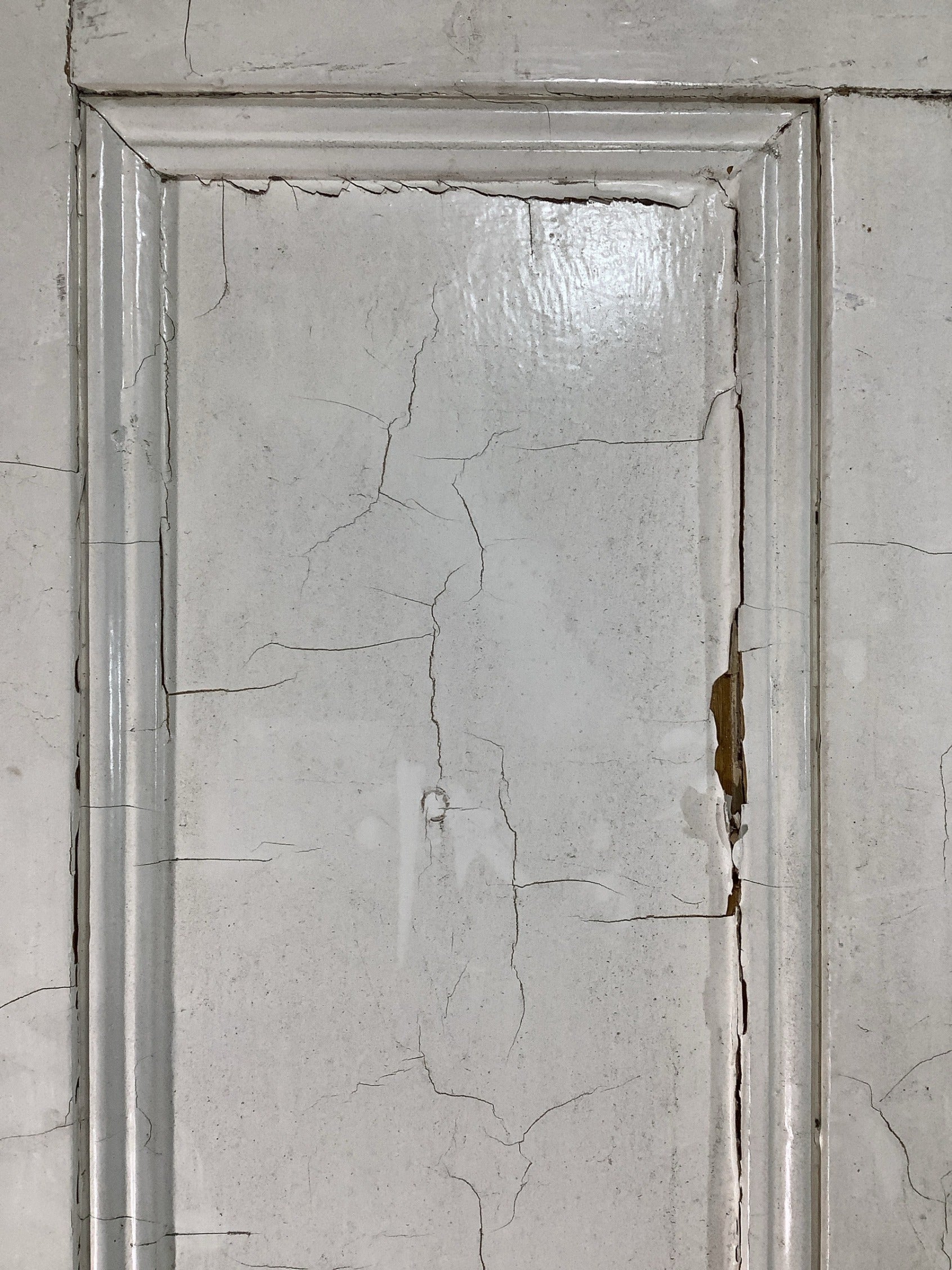 5th Pic Victorian Internal Painted  Pine Reclaimed Door