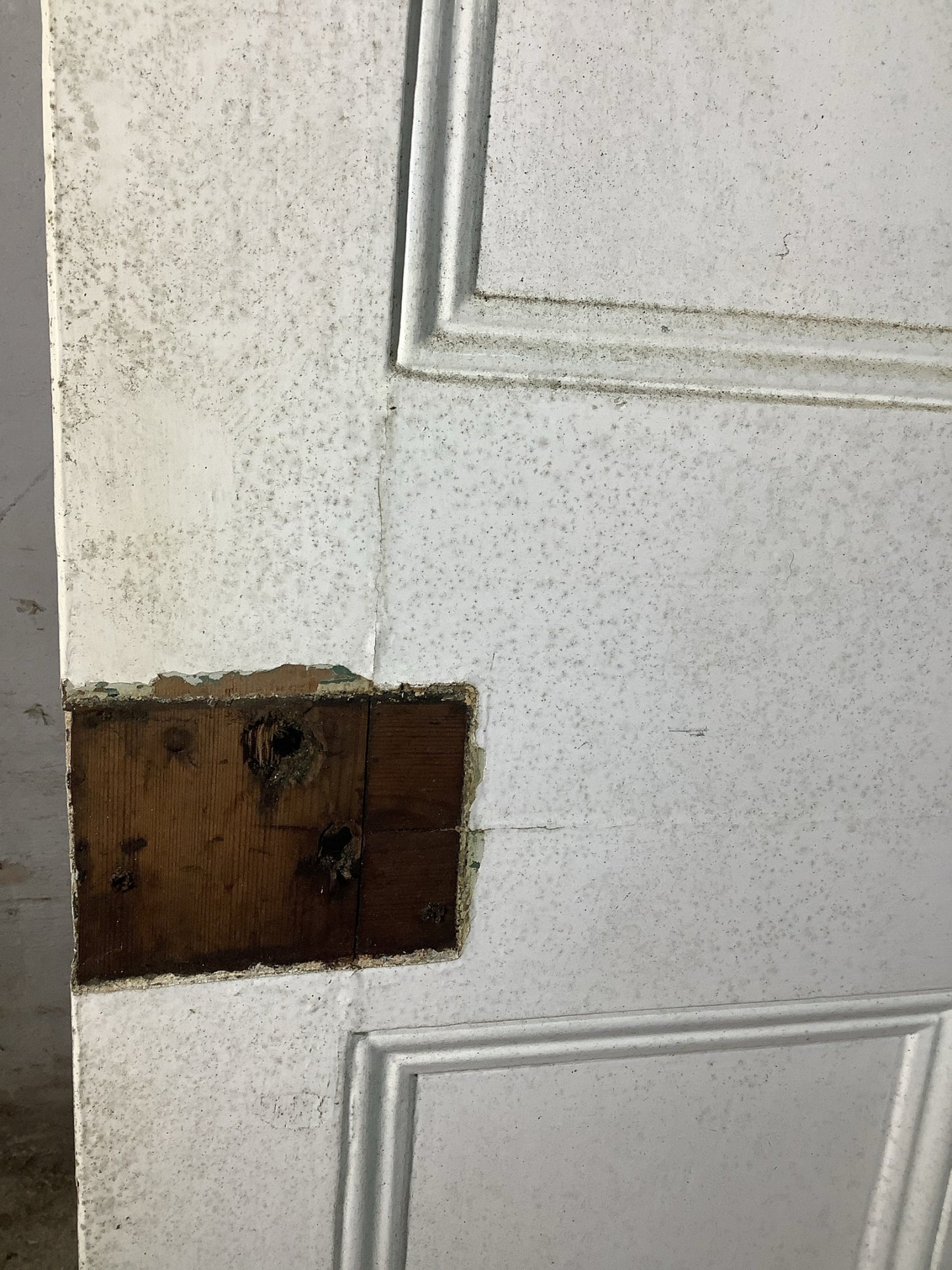 4th Pic Victorian Internal Painted  Pine Reclaimed Door