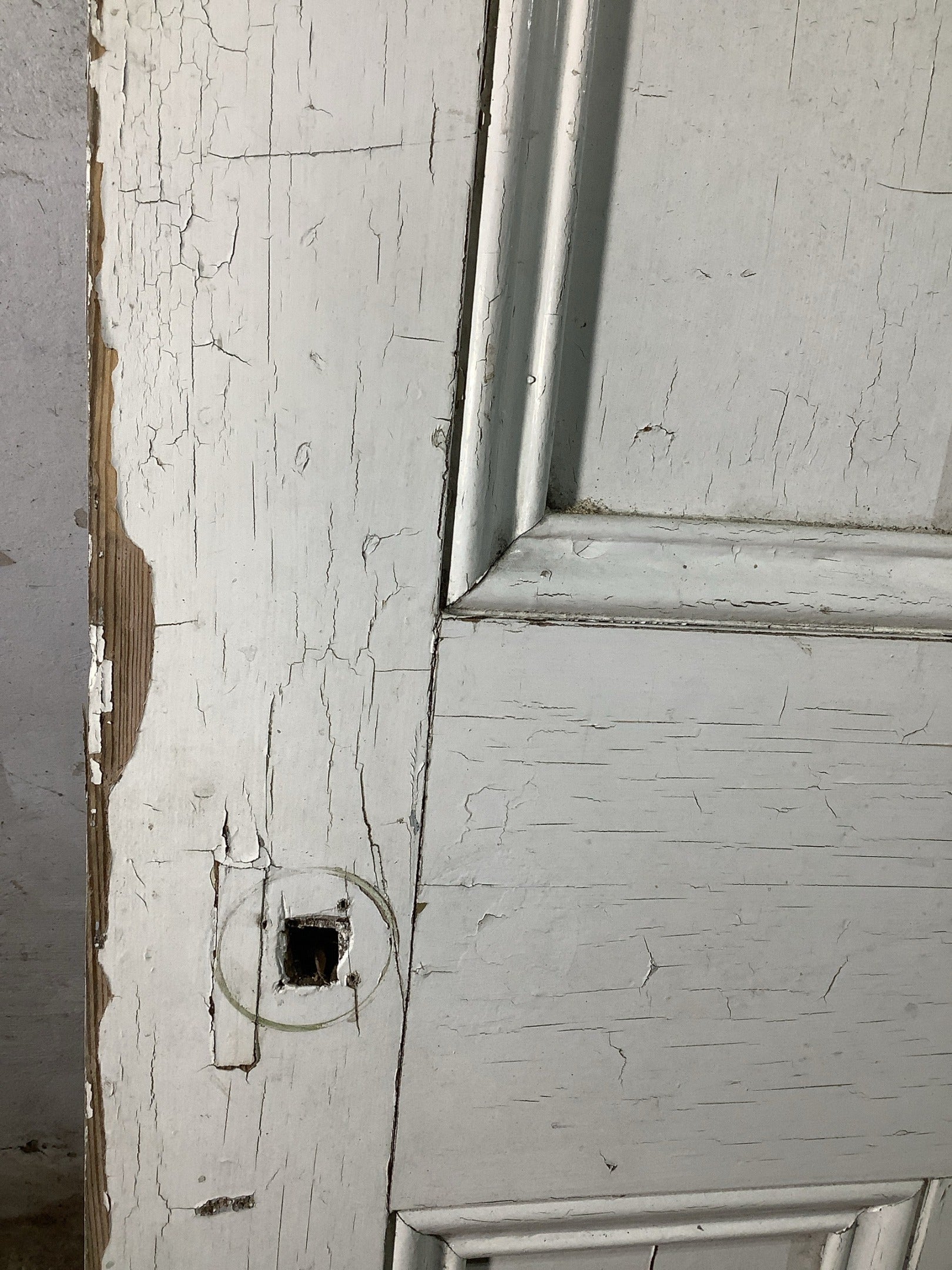 10th Pic Victorian Internal Painted  Pine Reclaimed Door