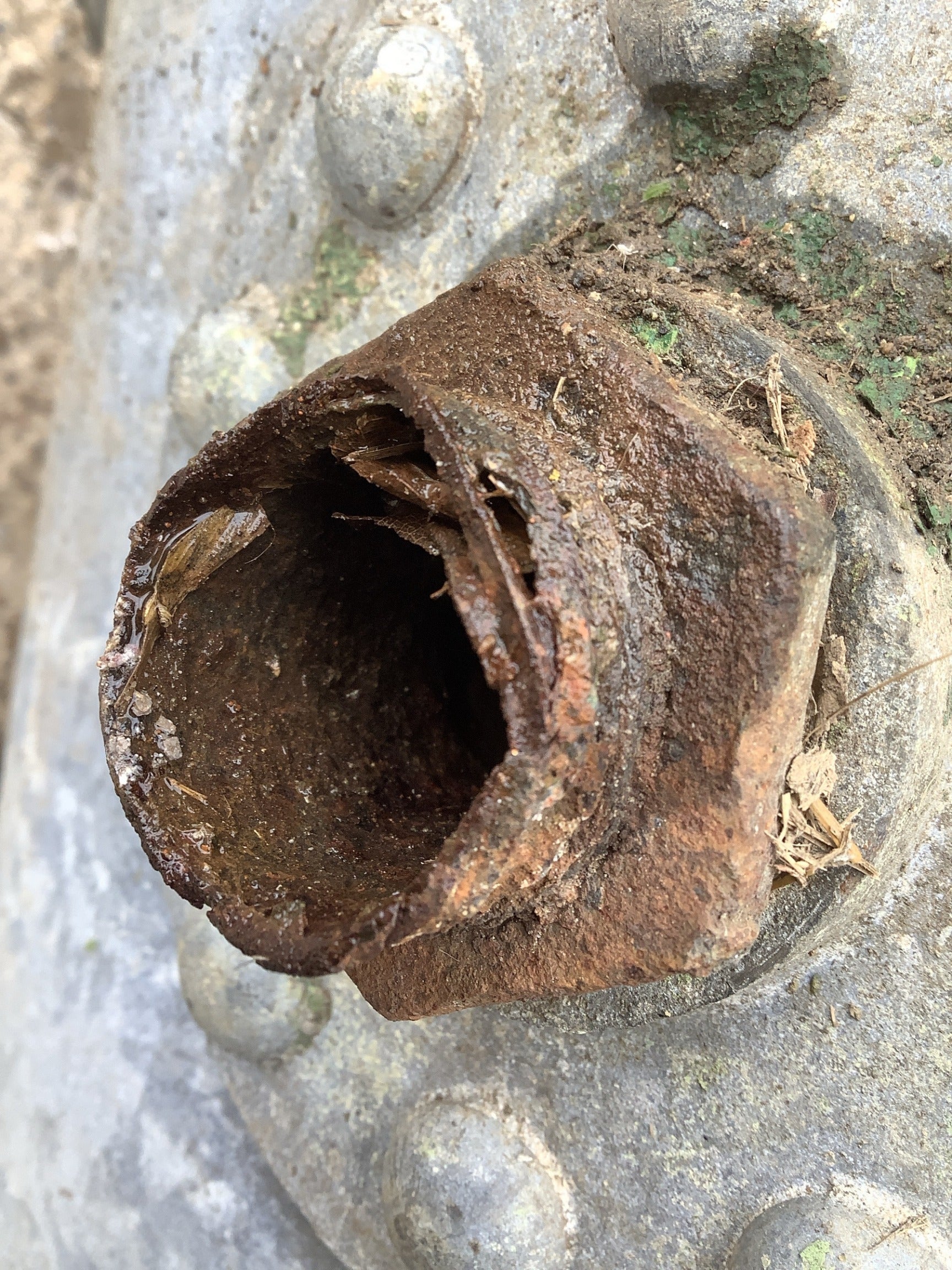 Rusty on pipe