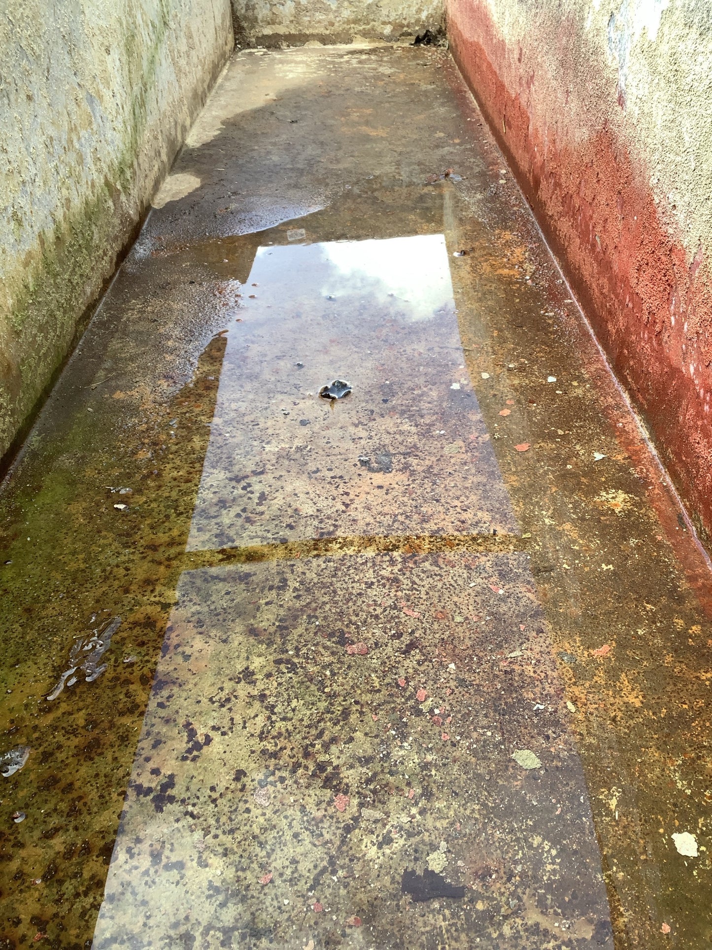 8’ Beautiful Old Long Tarnished Galvanized Metal Planter Water Trough