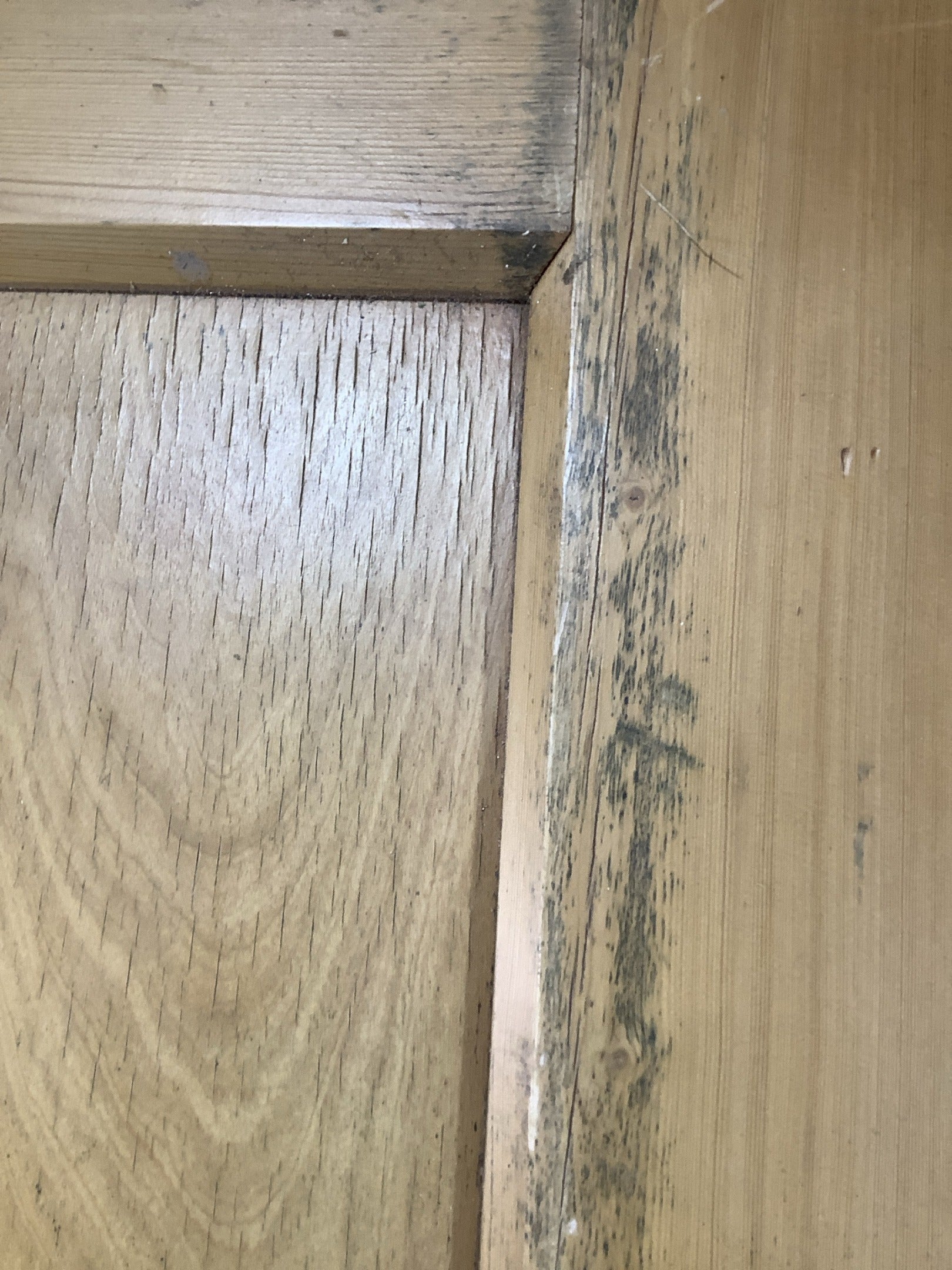 6th Pic 1930s Internal Stripped  Pitch Pine Reclaimed Door