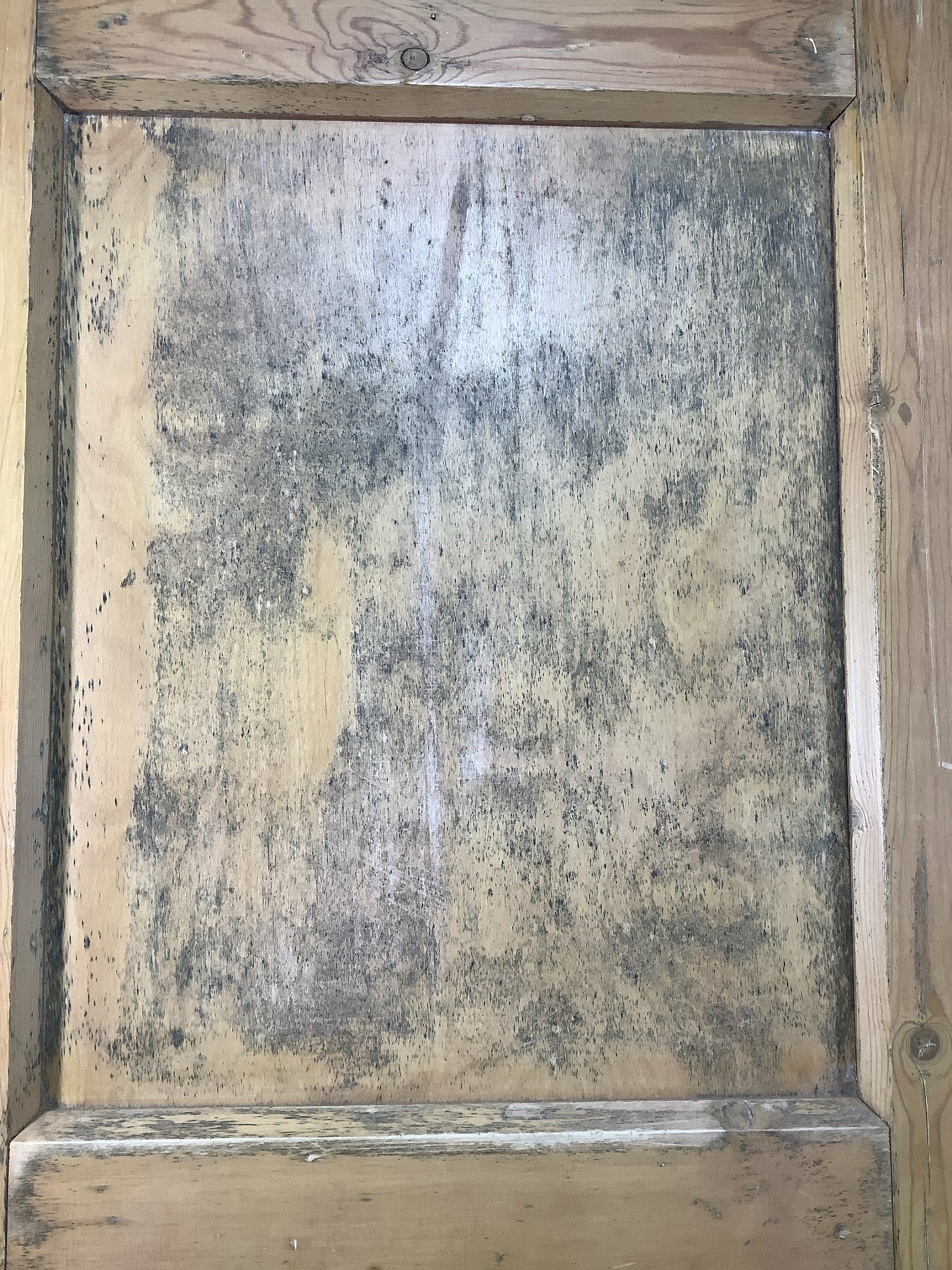 11th Pic 1930s Internal Stripped  Pitch Pine Reclaimed Door