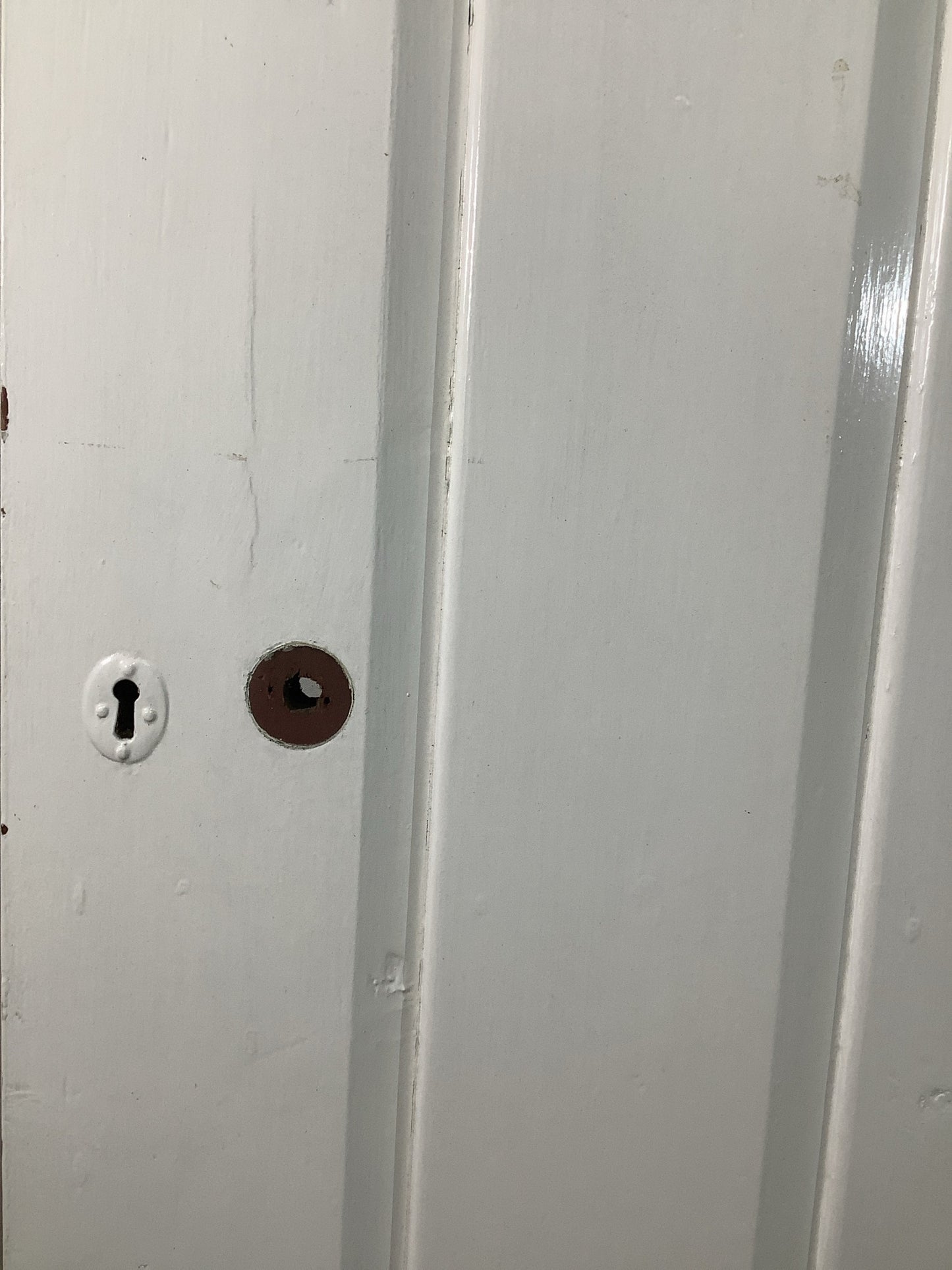 4th Pic Old Internal Painted  Pine Reclaimed Door