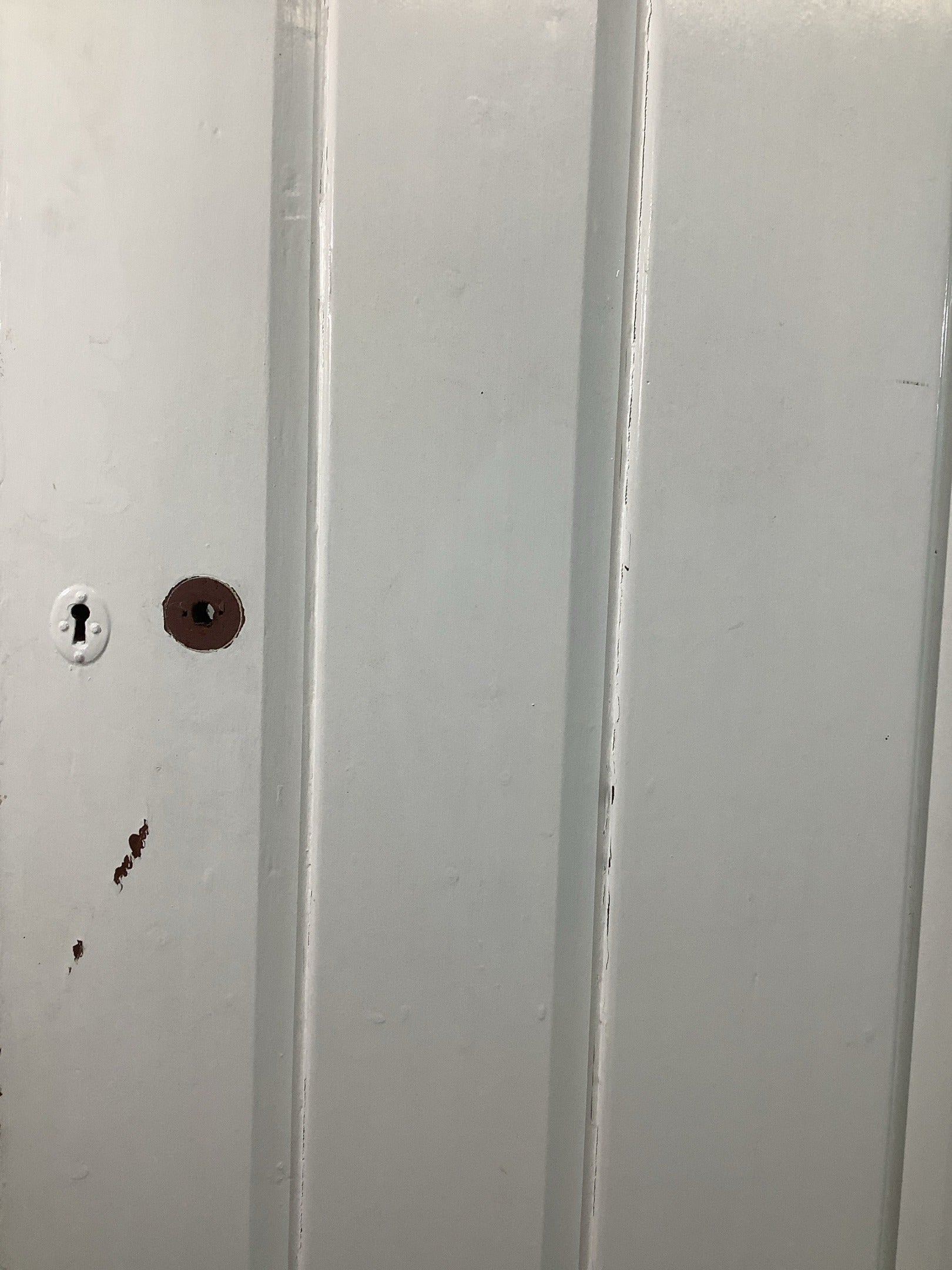 4th Pic Old Internal Painted  Pine Reclaimed Door