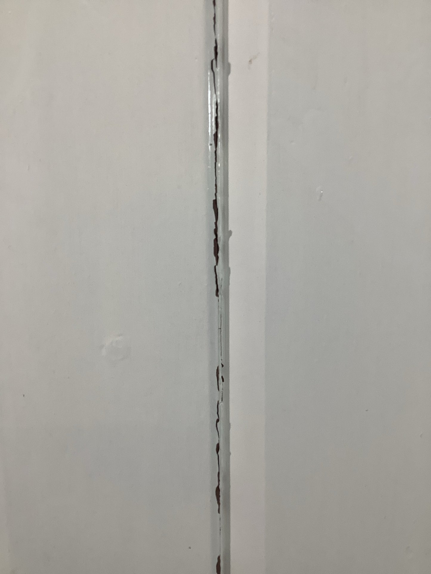 6th Pic Old Internal Painted  Pine Reclaimed Door