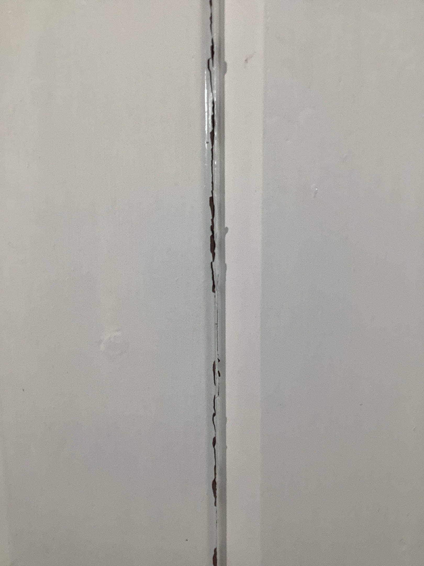 6th Pic Old Internal Painted  Pine Reclaimed Door