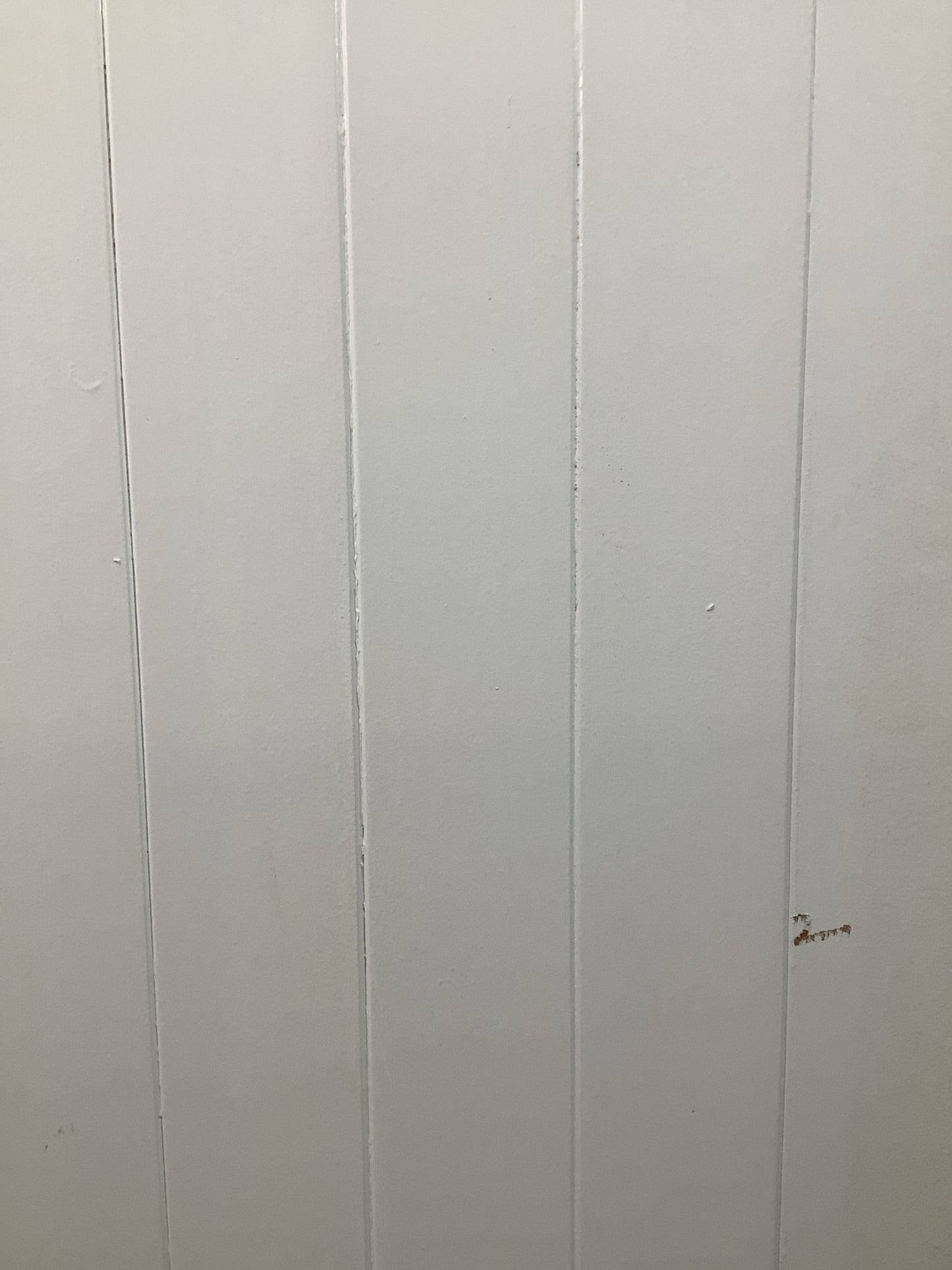 6th Pic Old Internal Painted  Pine Reclaimed Door