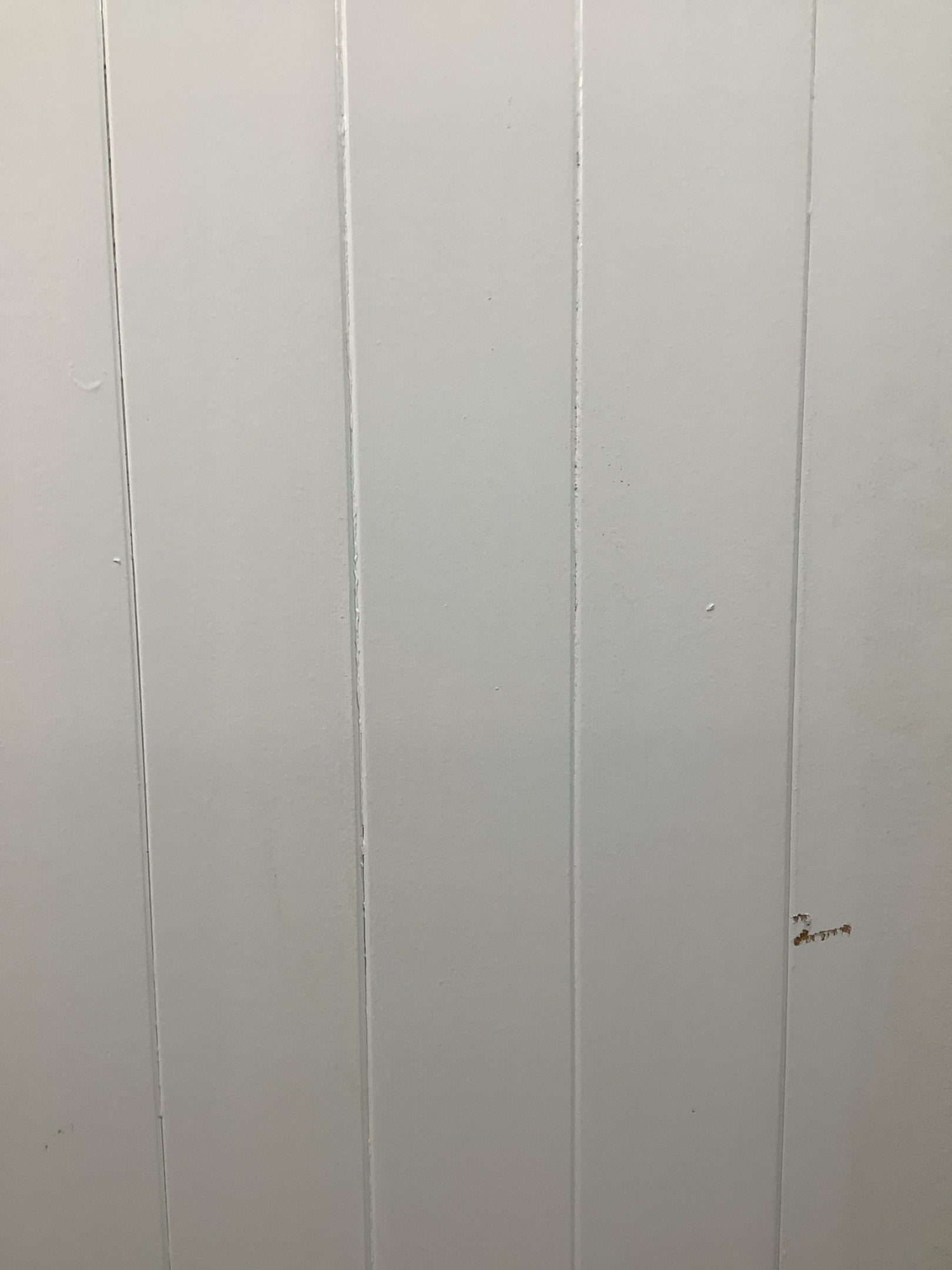 6th Pic Old Internal Painted  Pine Reclaimed Door