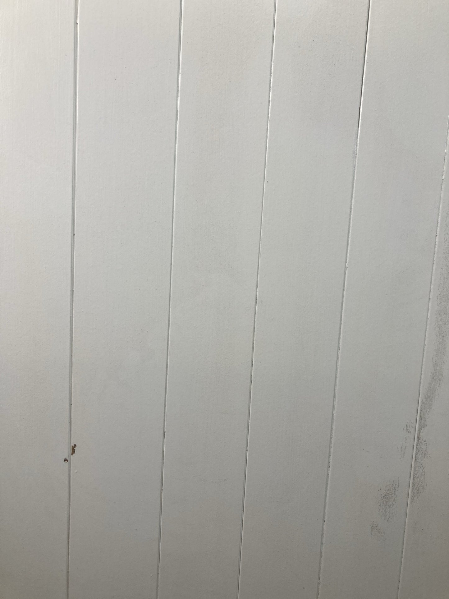 4th Pic Old Internal Painted  Pine Reclaimed Door