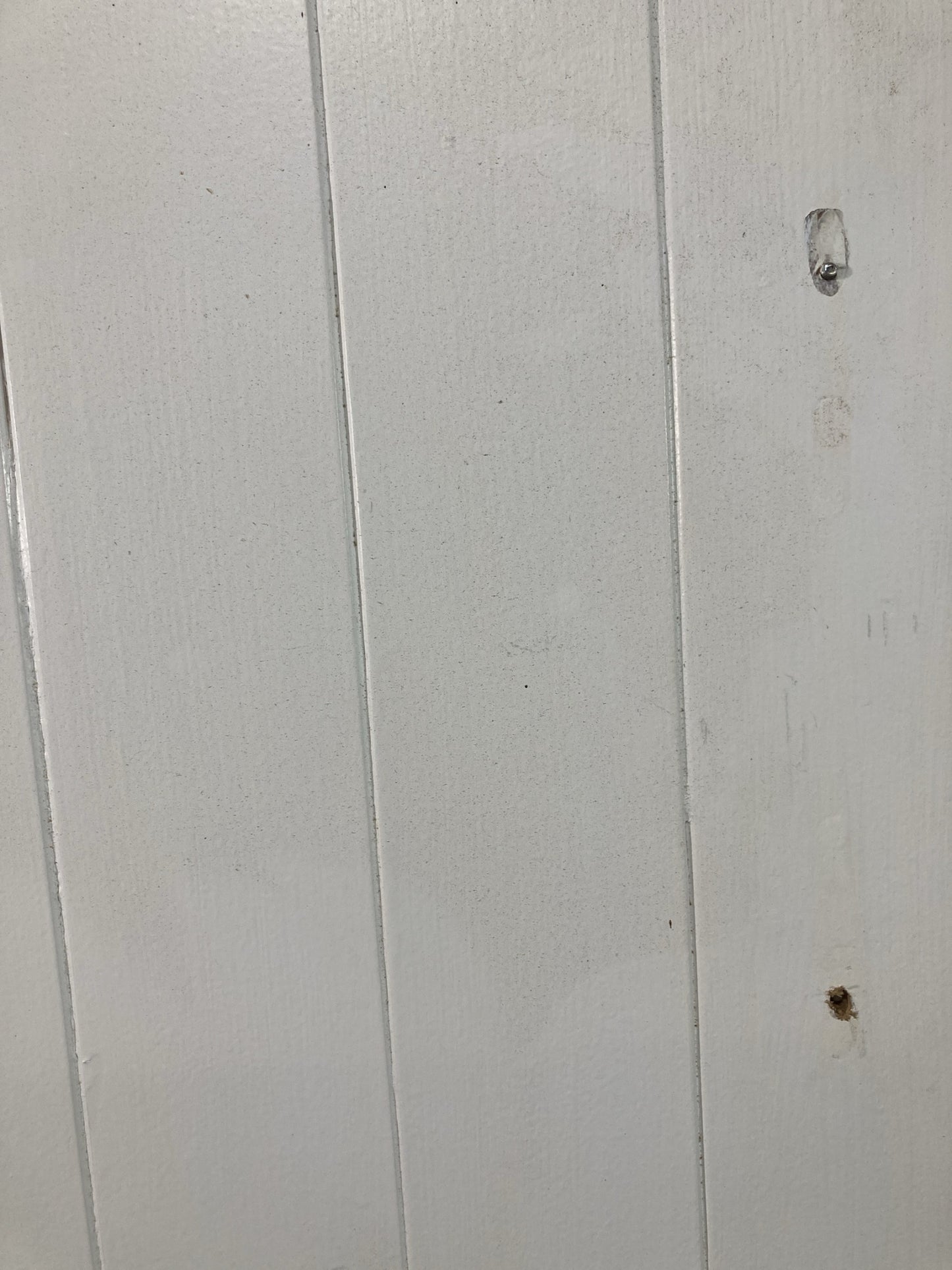 5th Pic Old Internal Painted  Pine Reclaimed Door
