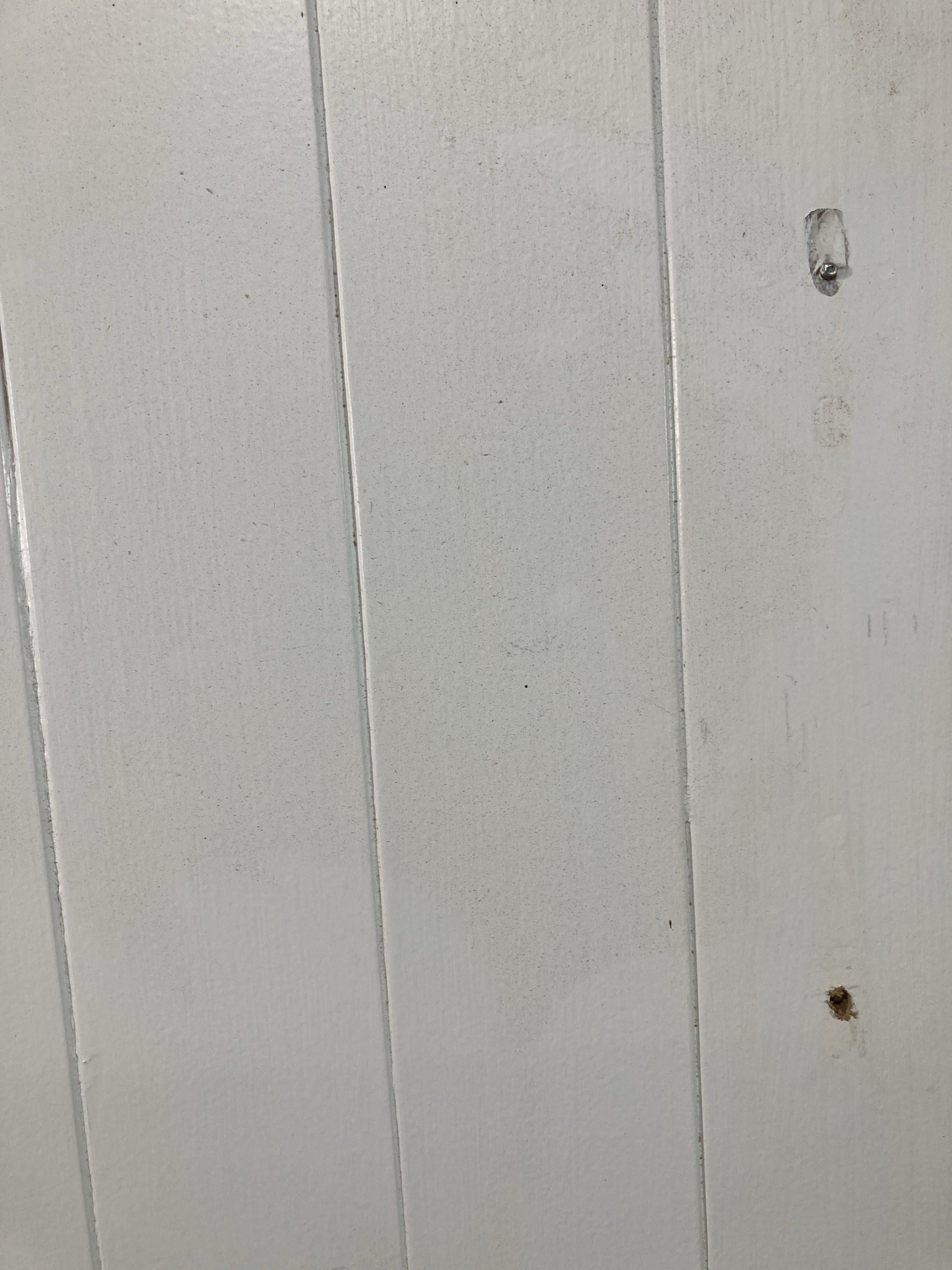 5th Pic Old Internal Painted  Pine Reclaimed Door