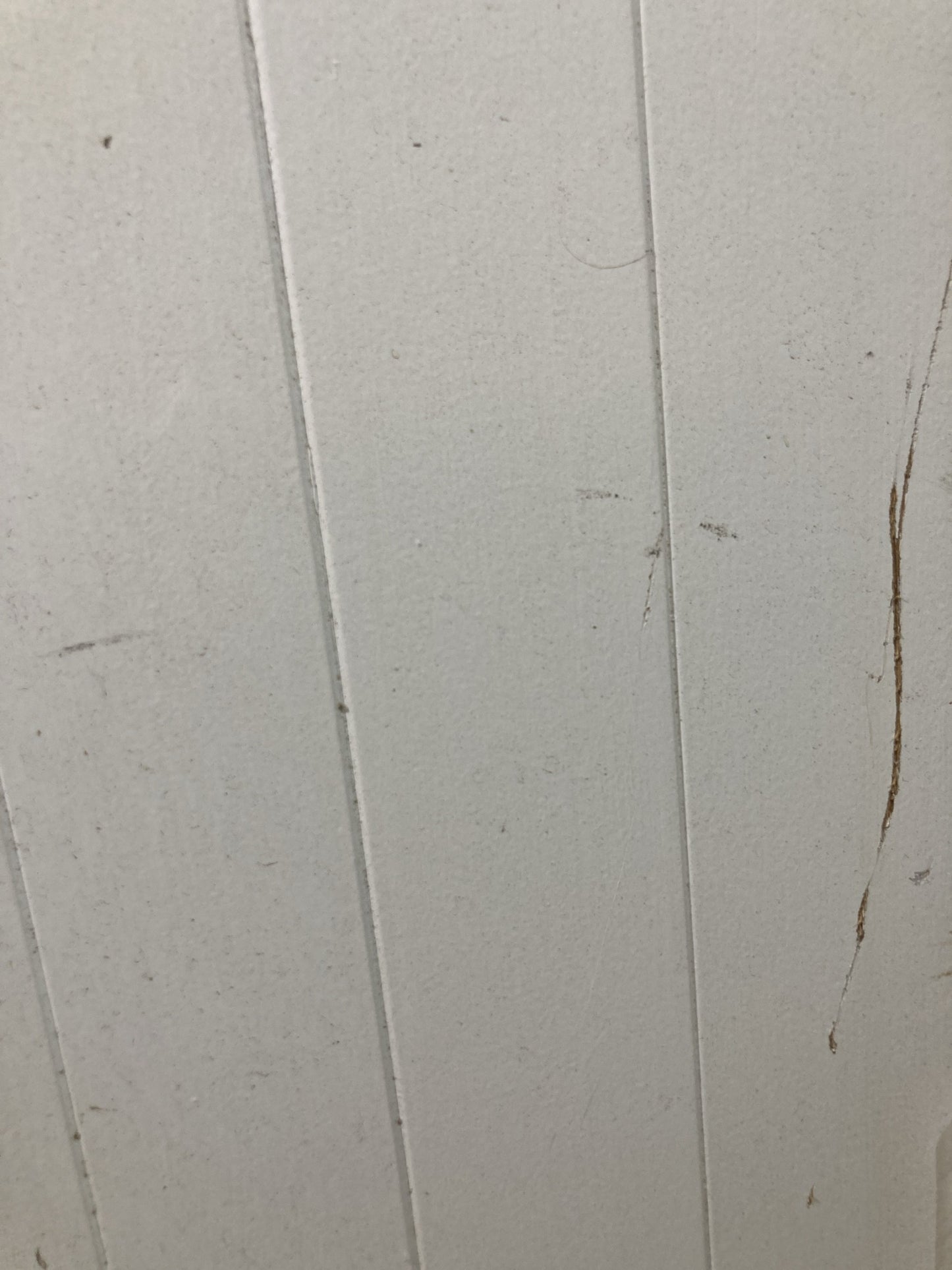 5th Pic Old Internal Painted  Pine Reclaimed Door