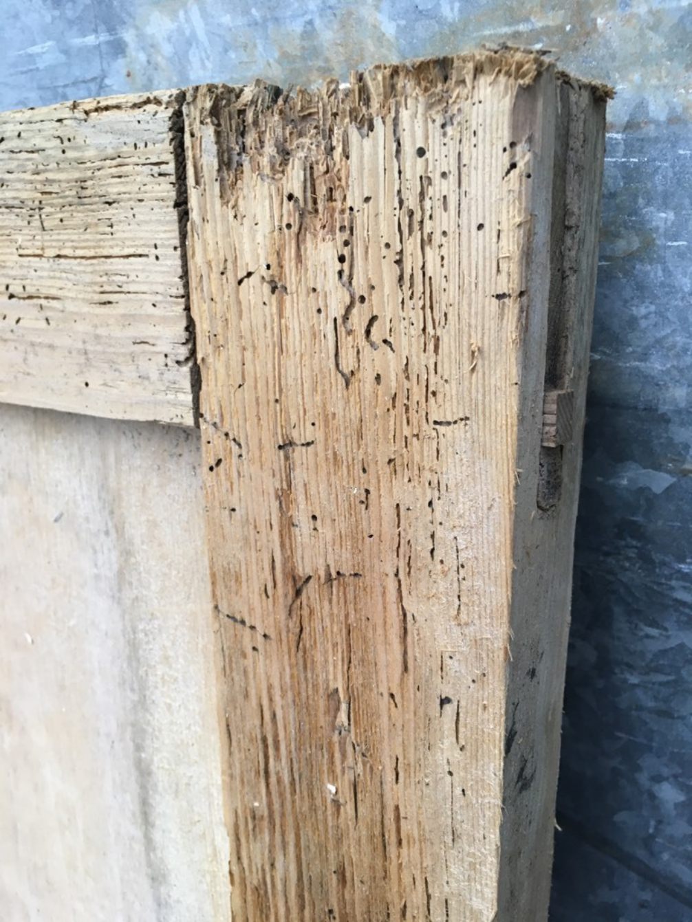 34 5/8x71 5/8” Victorian Stripped Pine 4 Panel 2 Over 2 Short Wide Internal Door