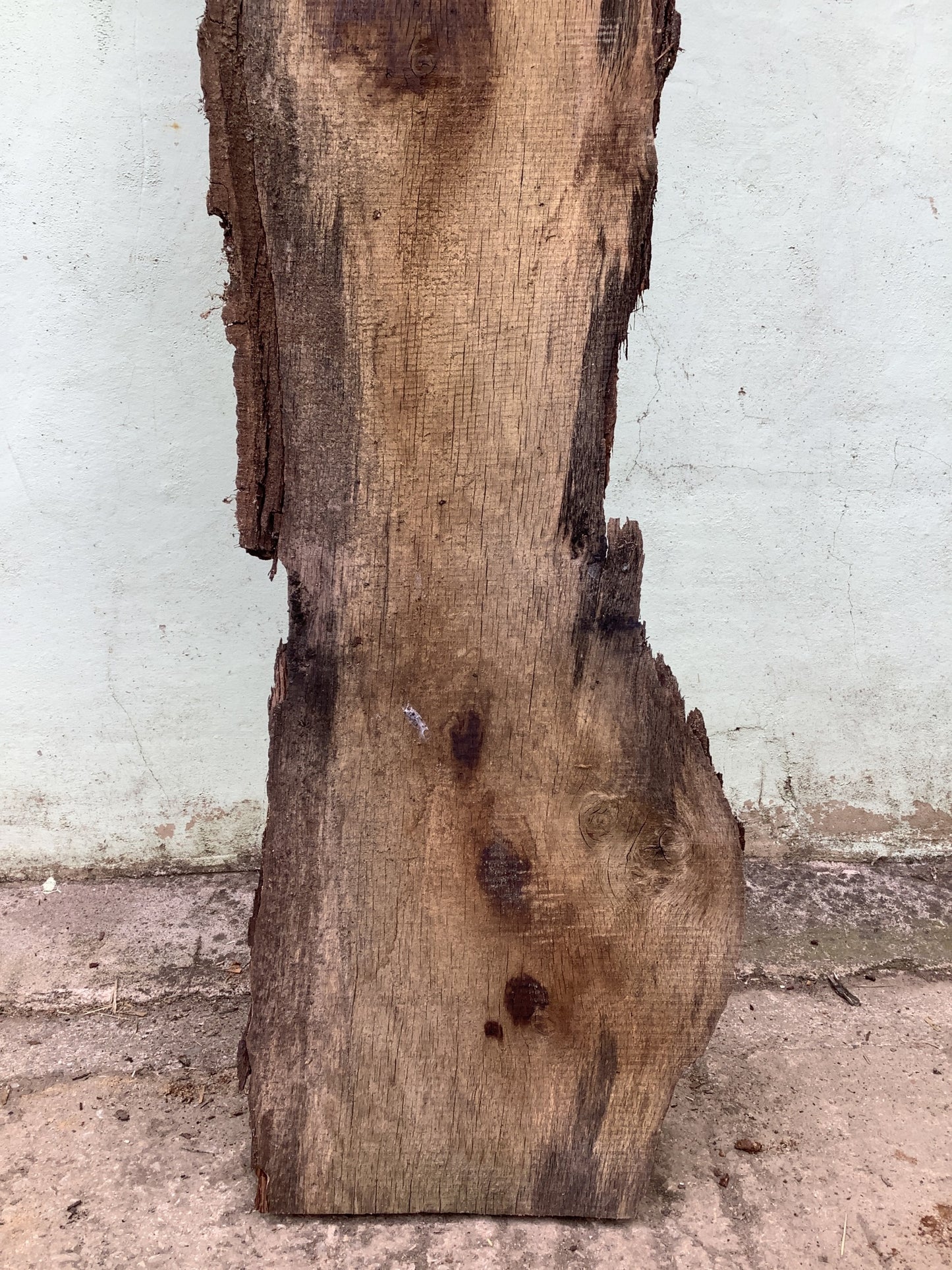 7'7" L Live Waney Edge Rustic Solid Oak Air Dried Hardwood Timber Board