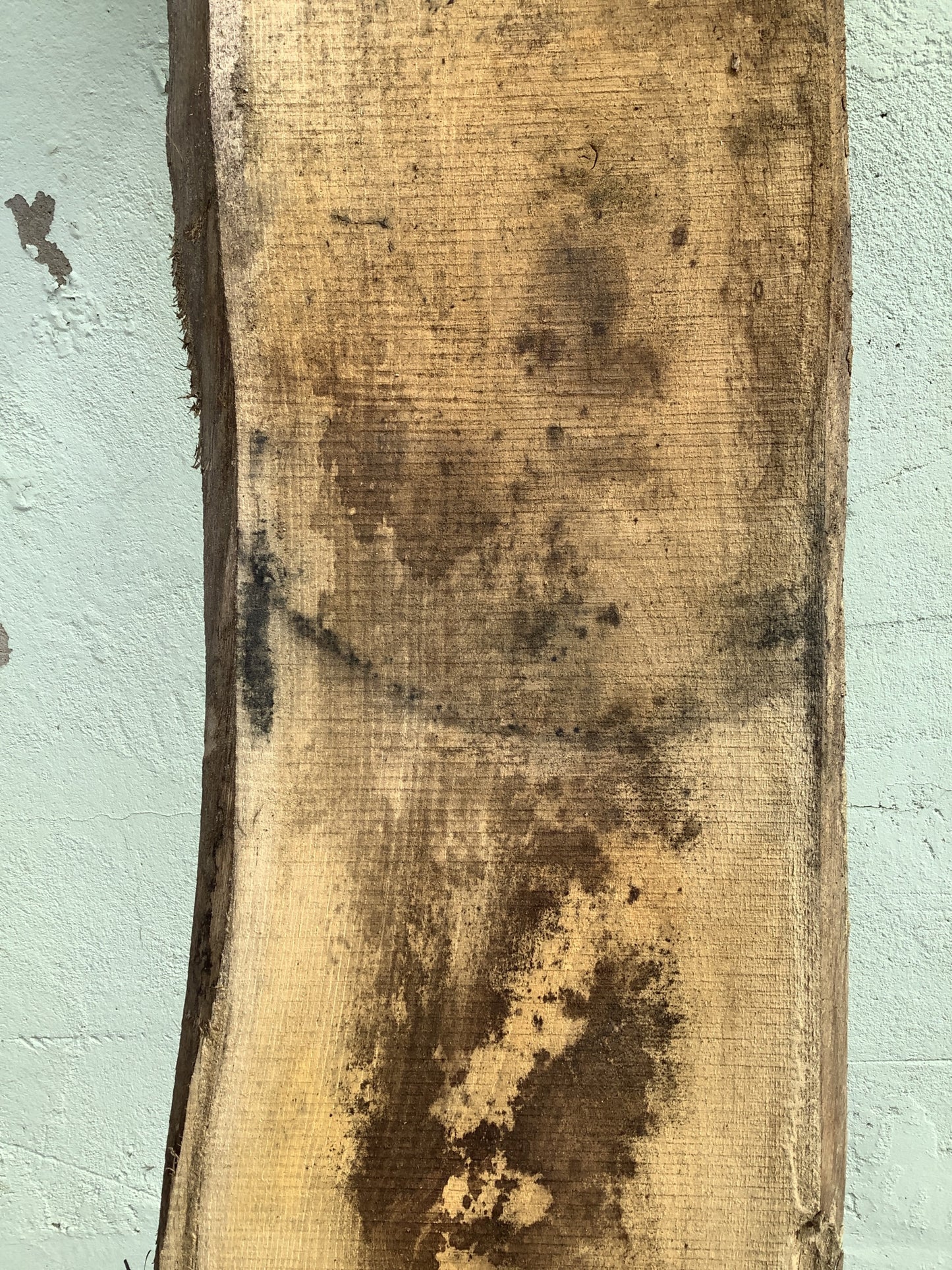 8'2" L Live Waney Edge Rustic Solid Oak Air Dried Hardwood Timber Board